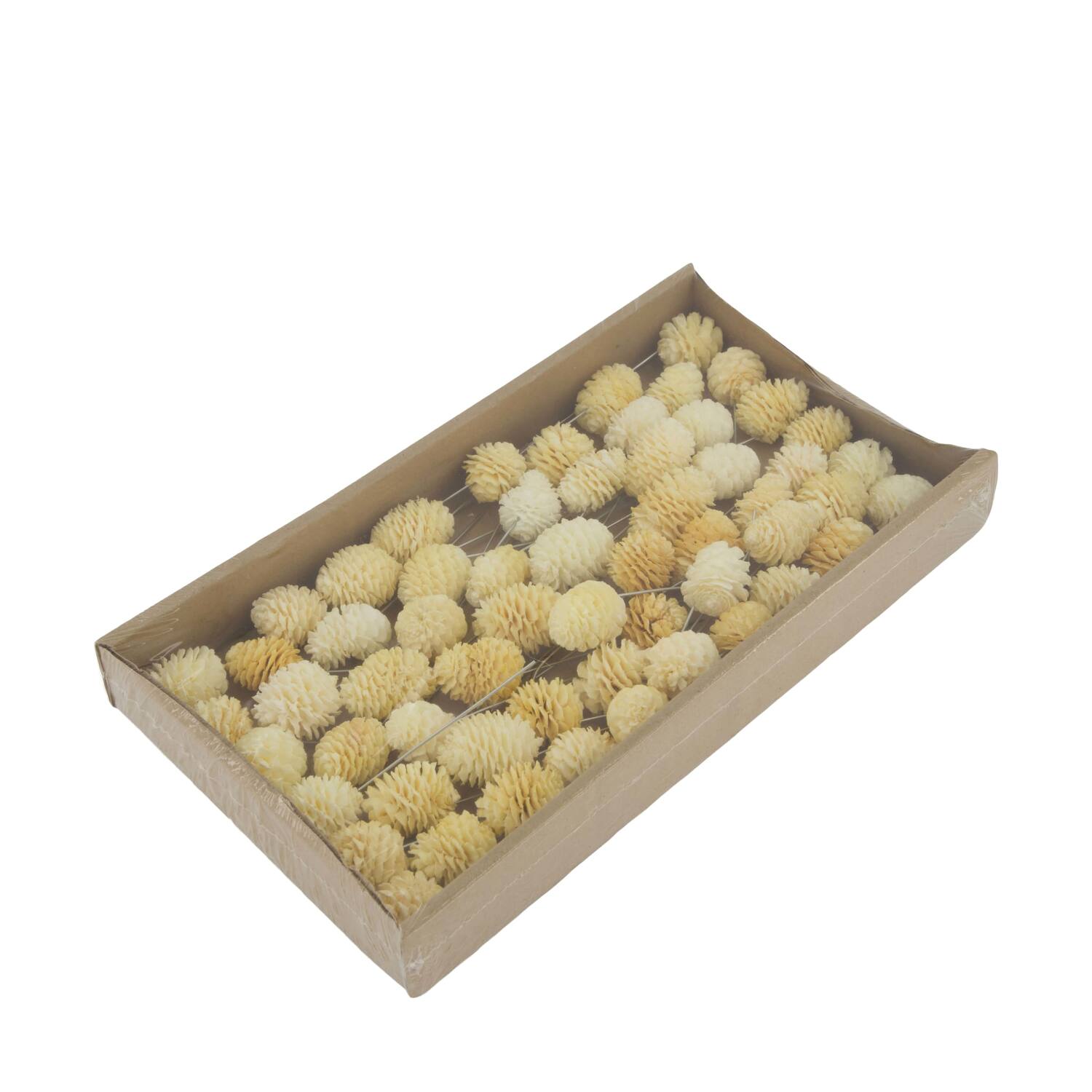 Muirrii on wire stem 60pc in tray 36x20x5cm