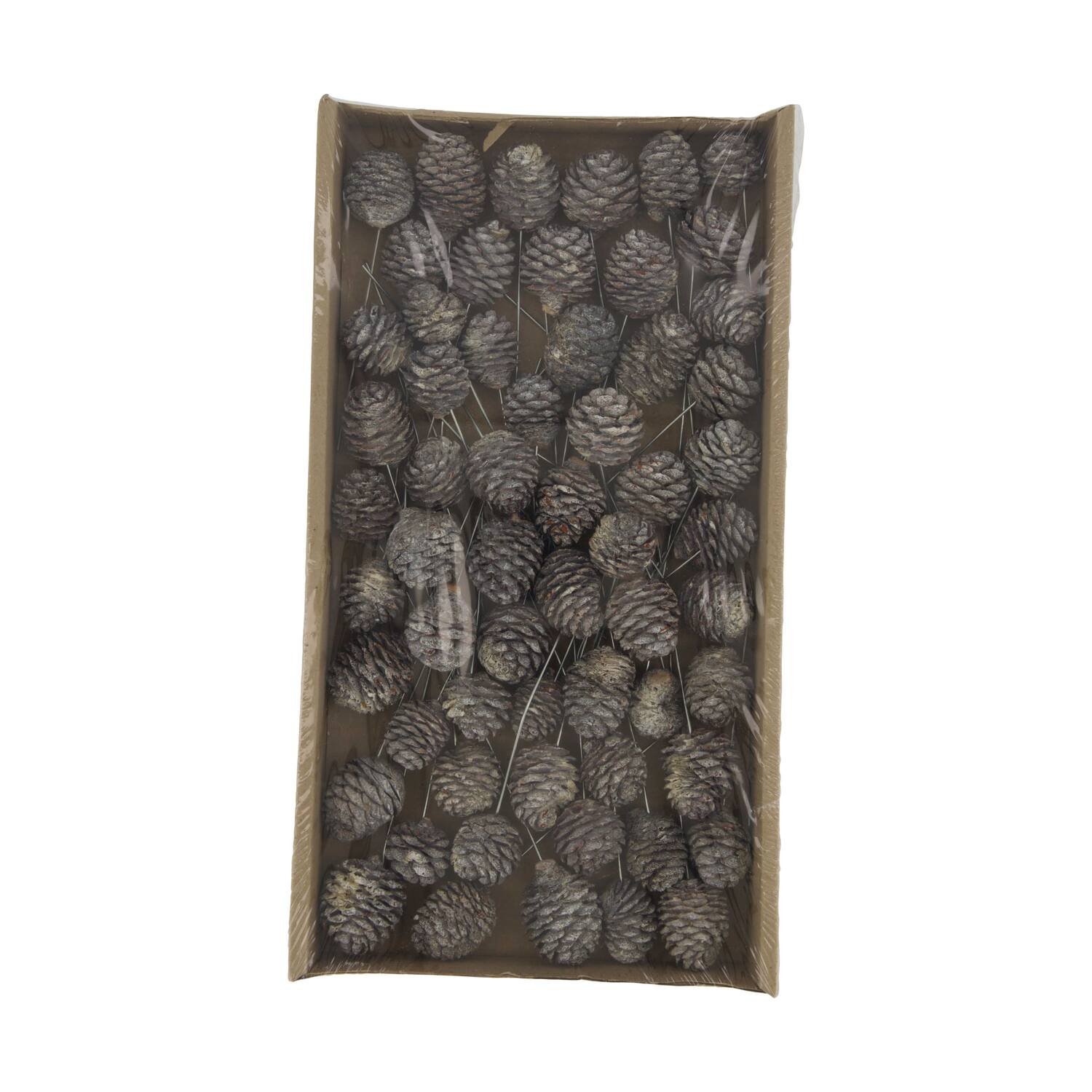 Muirii on wire stem 60pc in tray 36x20x5cm - White