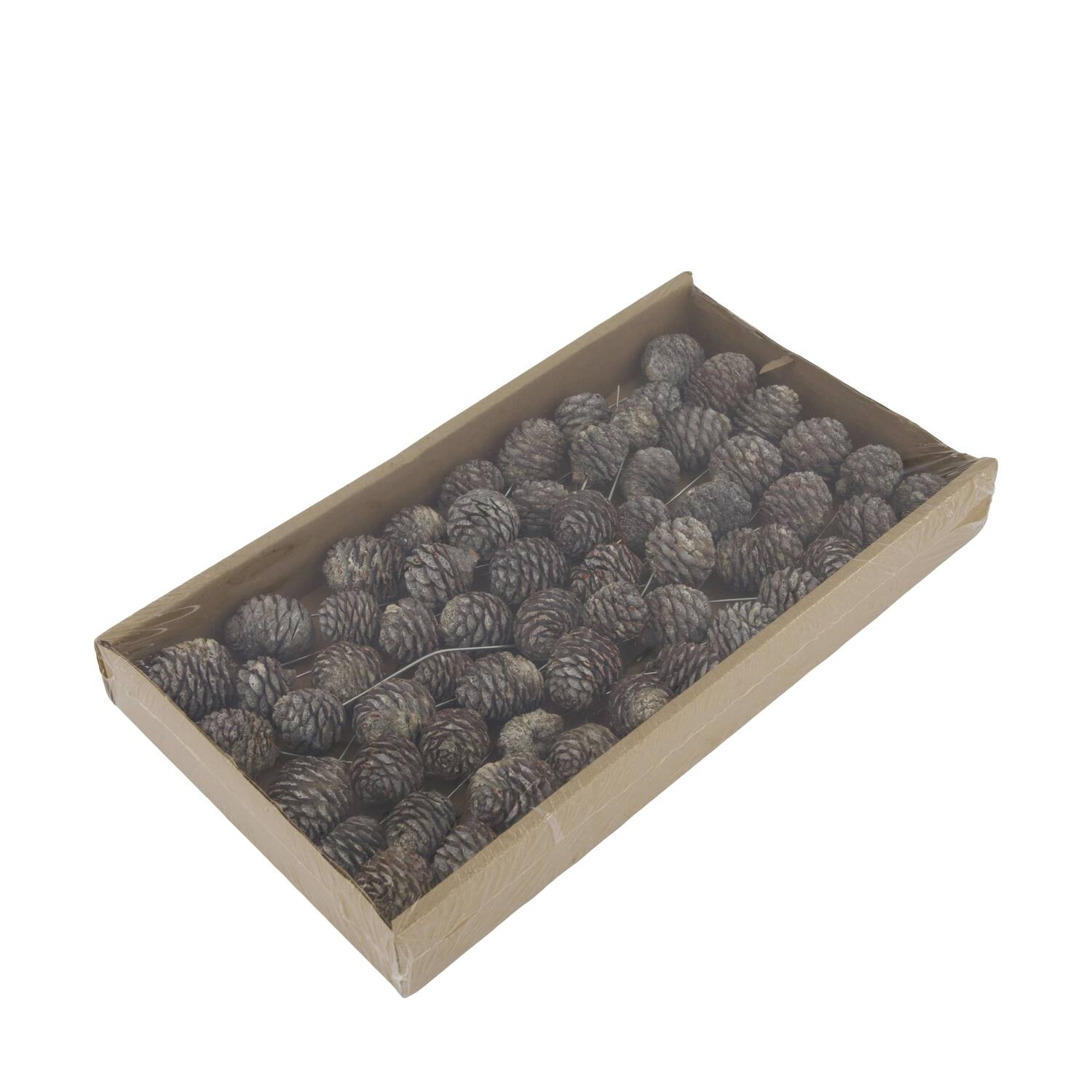 Muirii on wire stem 60pc in tray 36x20x5cm - White