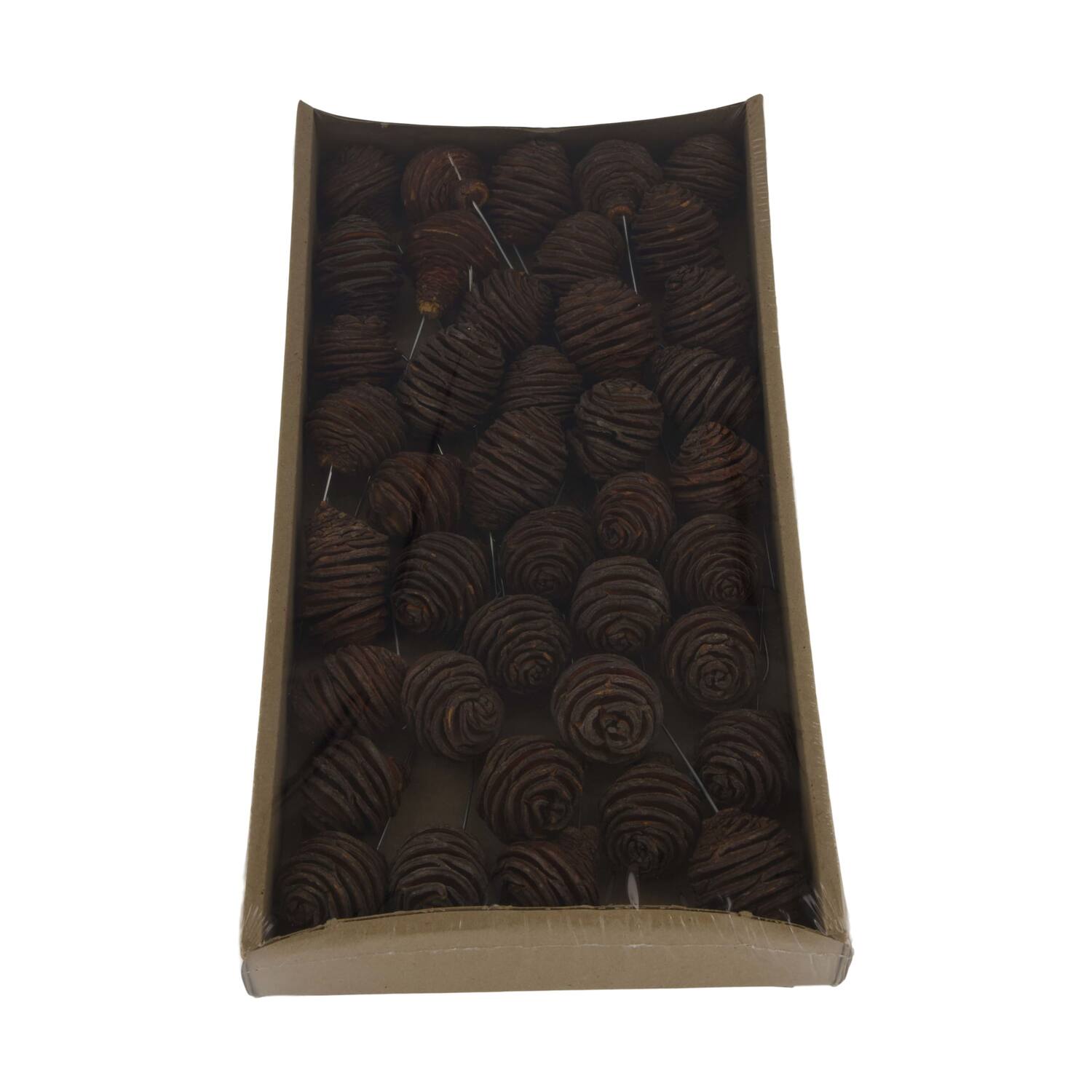 Platyspermum on wire stem 40pc in tray 36x20x5cm - Natural