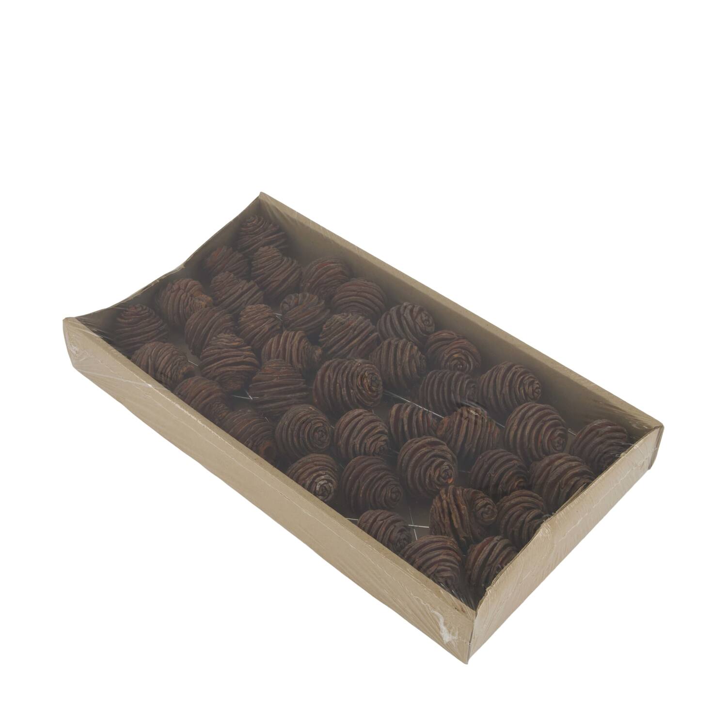 Platyspermum on wire stem 40pc in tray 36x20x5cm - Natural
