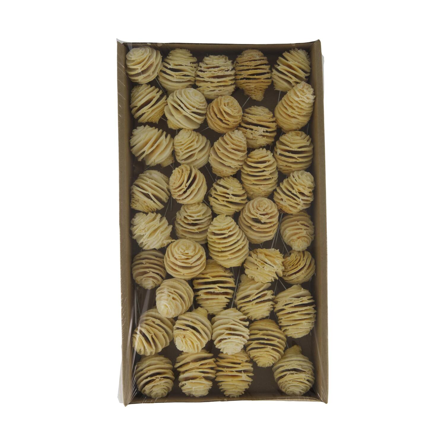 Platyspermum on wire stem 40pc in tray 36x20x5cm - Cream