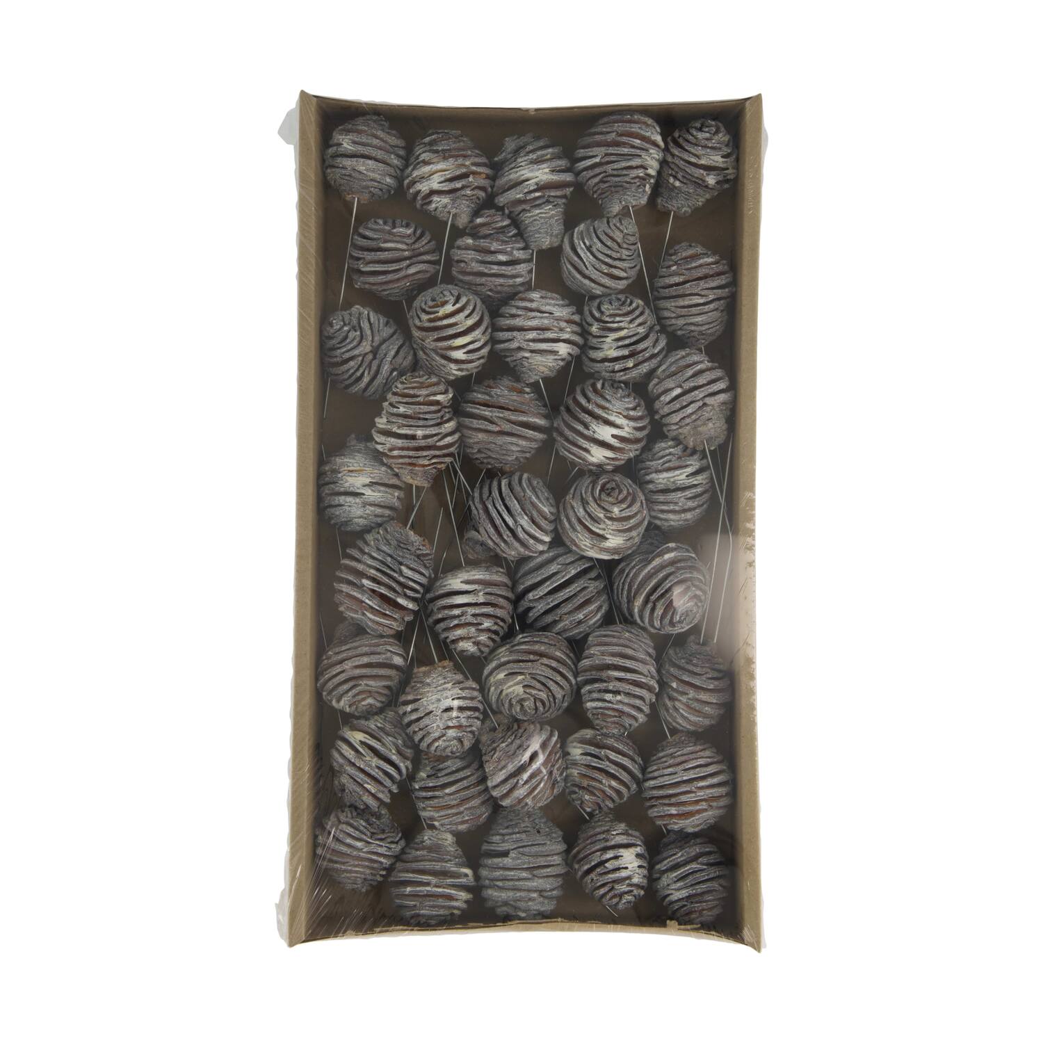 Platyspermum on wire stem 40pc in tray 36x20x5cm - White