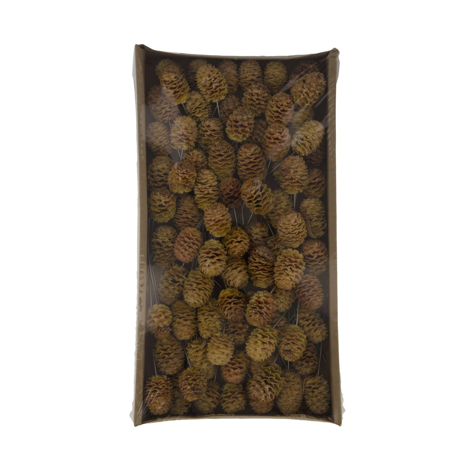 Sabulosum on wire stem 80pc in tray 36x20x5cm - Natural
