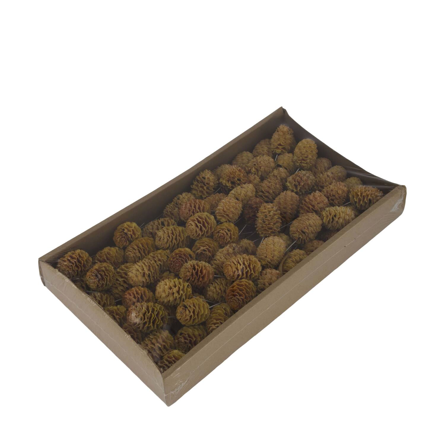 Sabulosum on wire stem 80pc in tray 36x20x5cm - Natural