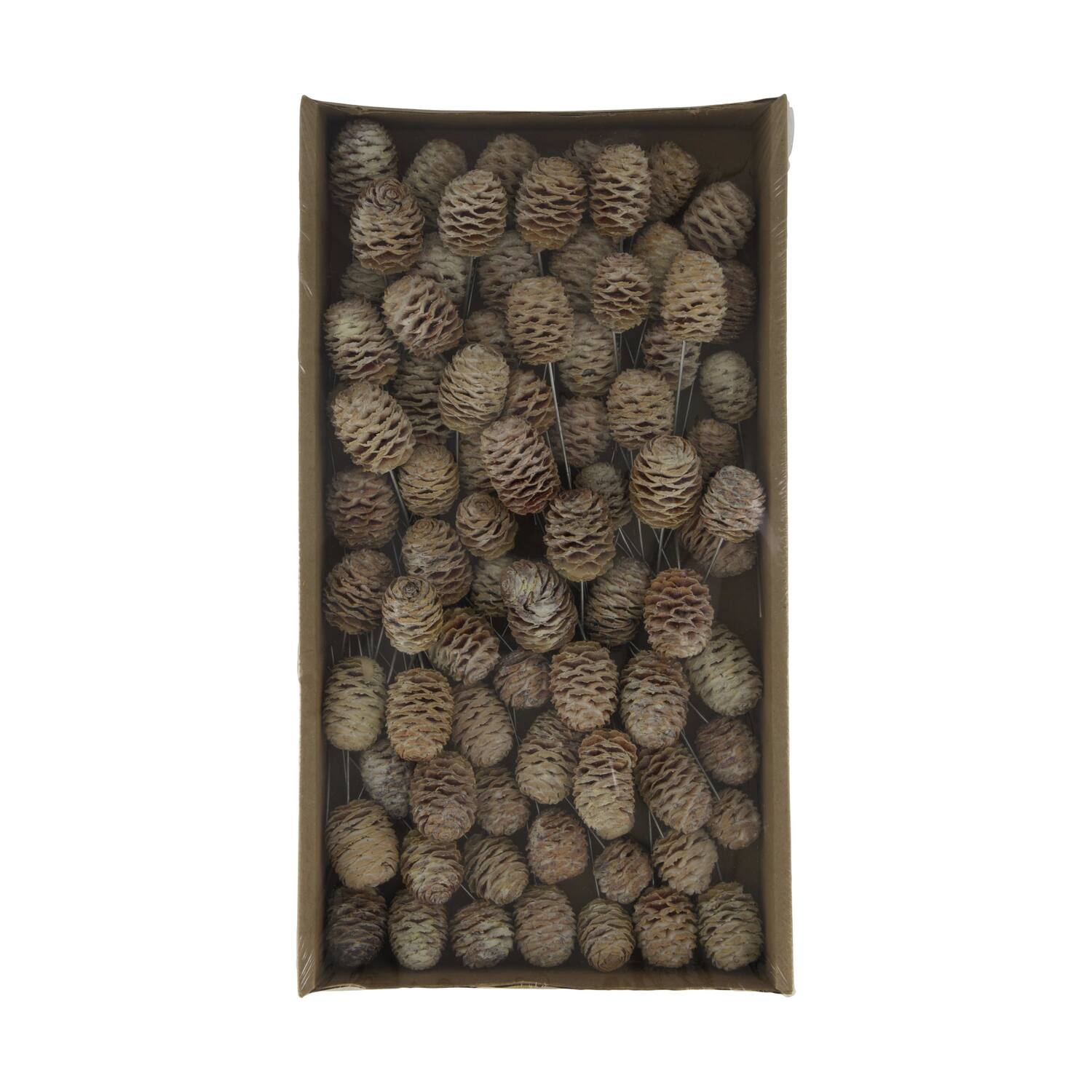 Sabulosum on wire stem 80pc in tray 36x20x5cm - White