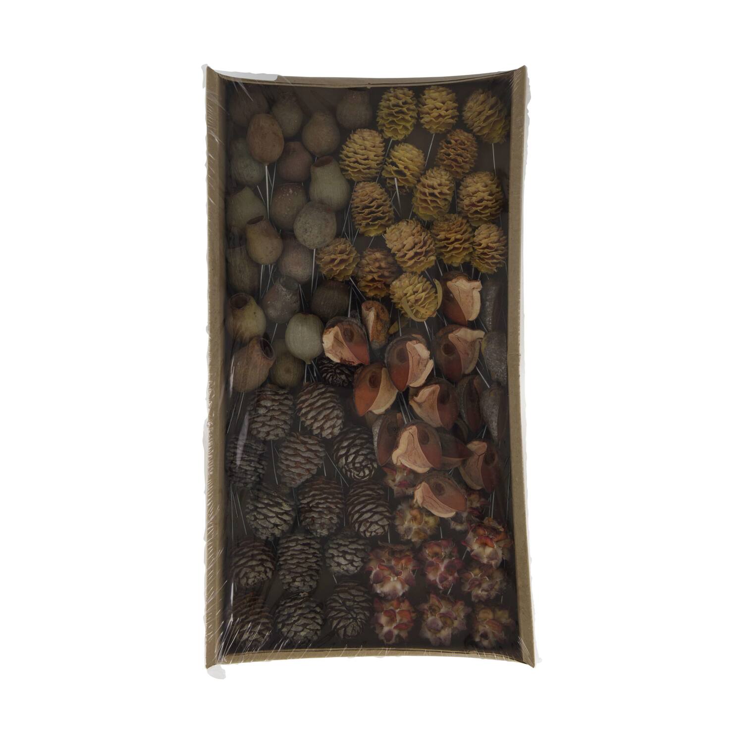 Leucodendron assortment on wire stem 80pc in tray 36x20x7cm - Natural