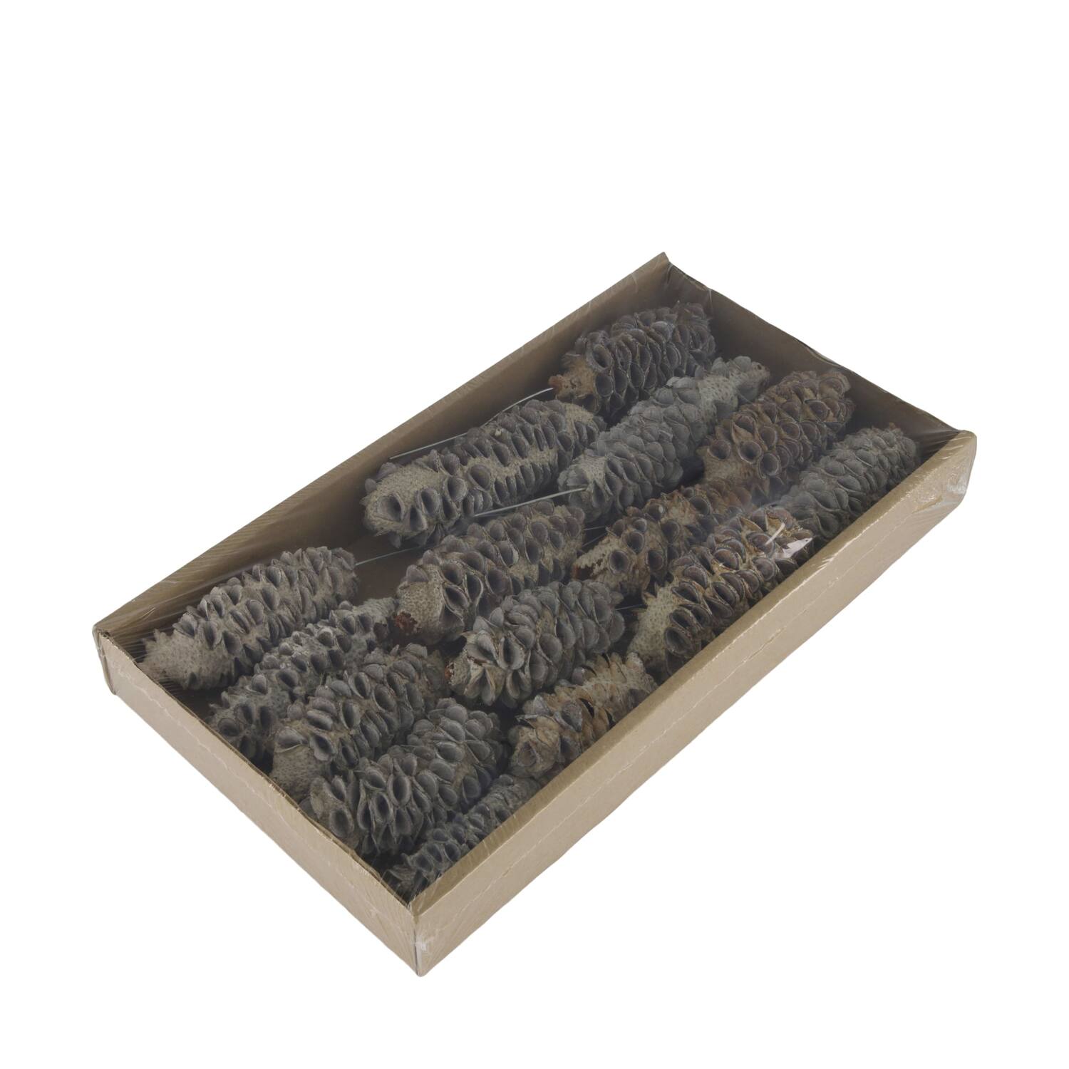 Mealy pod on wire stem 15pc in tray 36x20x5cm - White