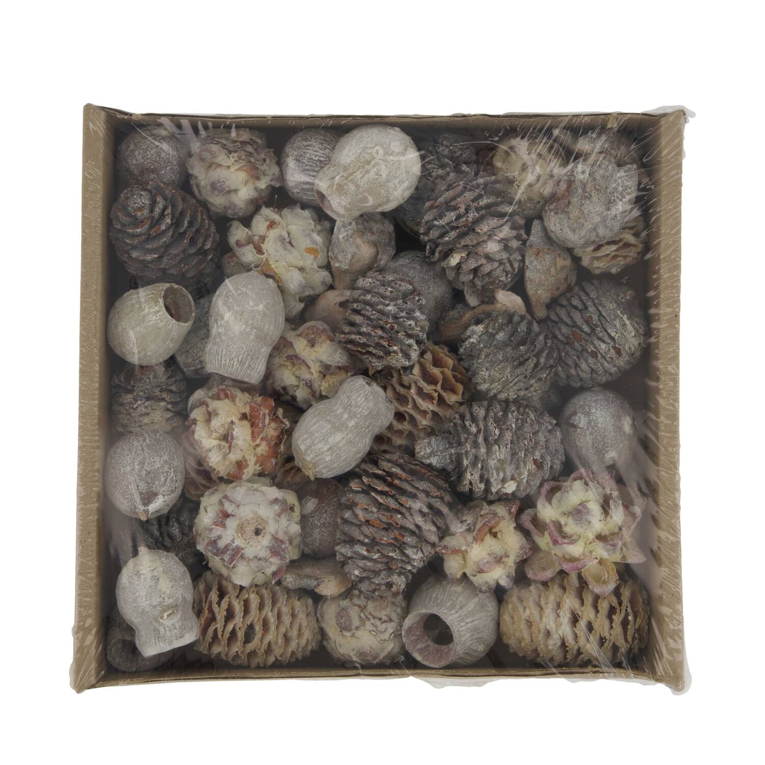 Leucondendron loose 400gr 19x19x5cm