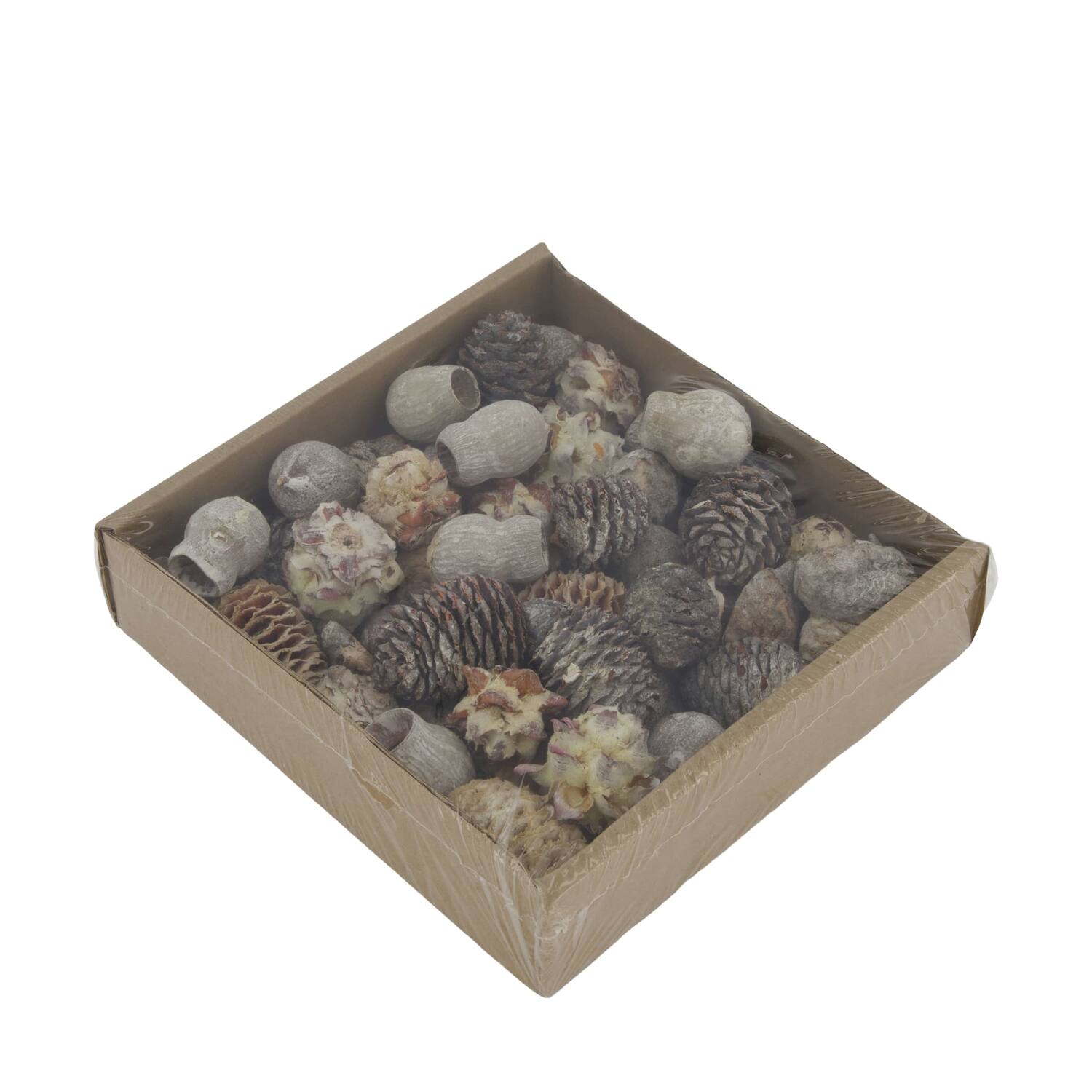 Leucondendron loose 400gr 19x19x5cm
