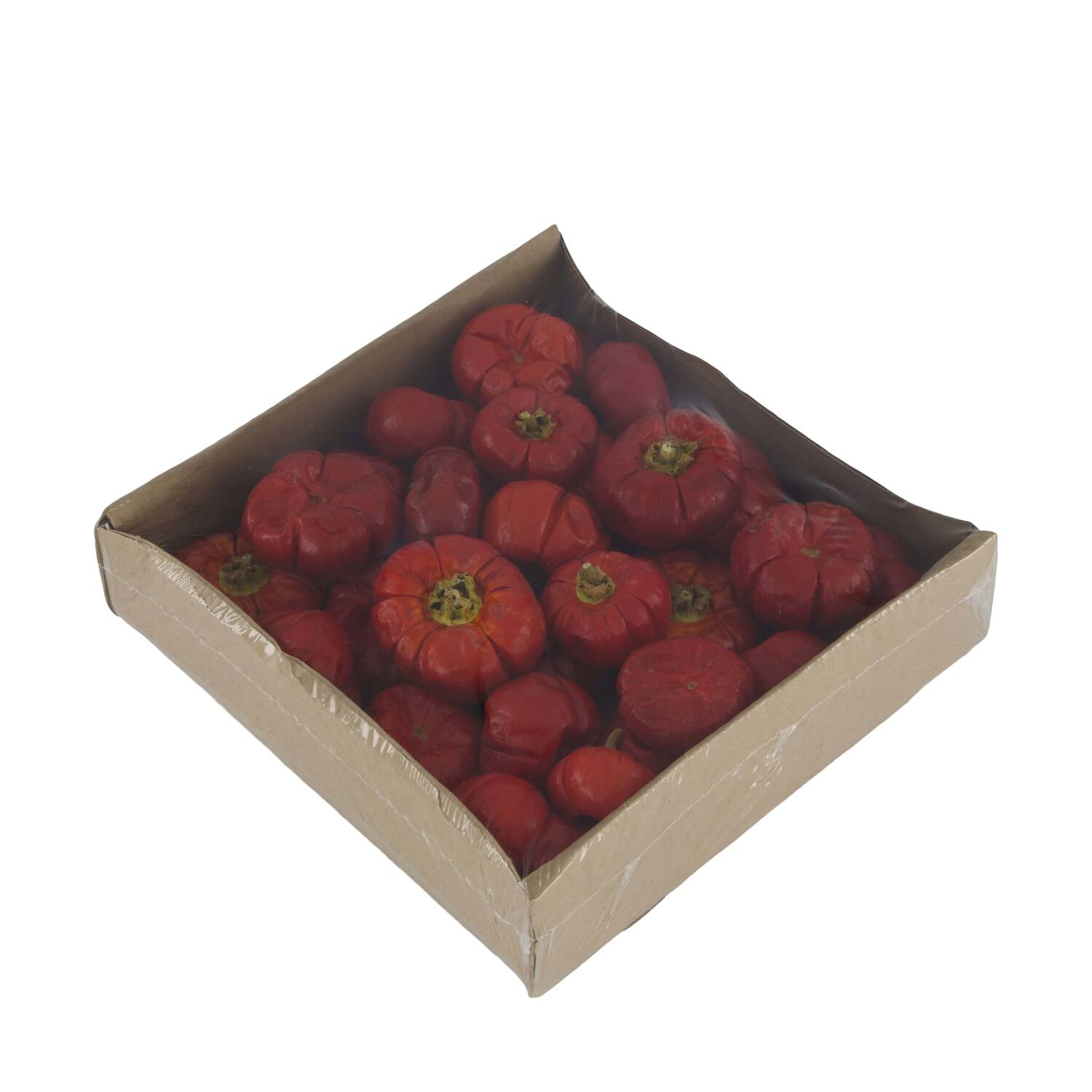 Pumpkin mini nature 19x19x4.5cm 200gr - Red
