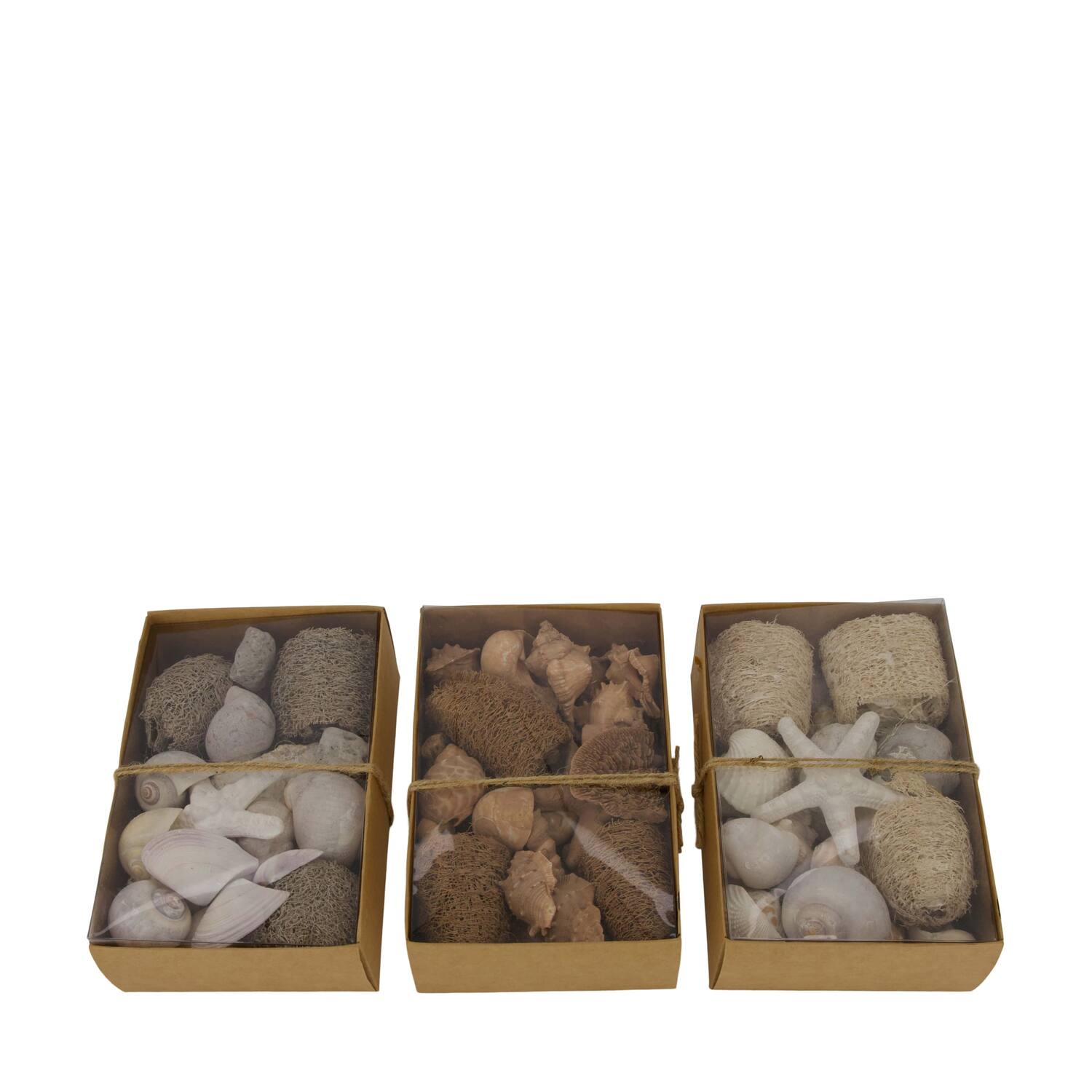 Shell mix nature 18x12x6cm A3 - Natural