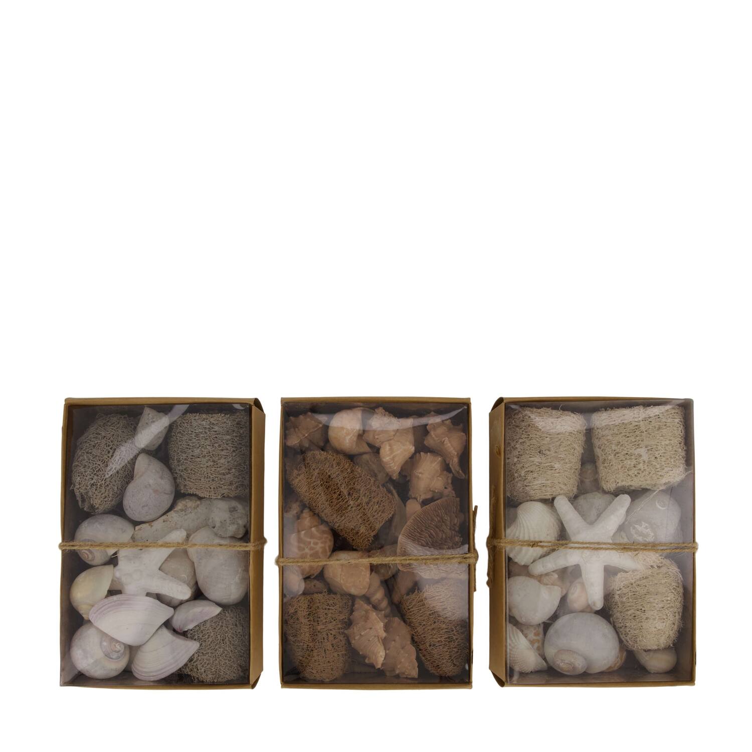 Shell mix nature 18x12x6cm A3 - Natural