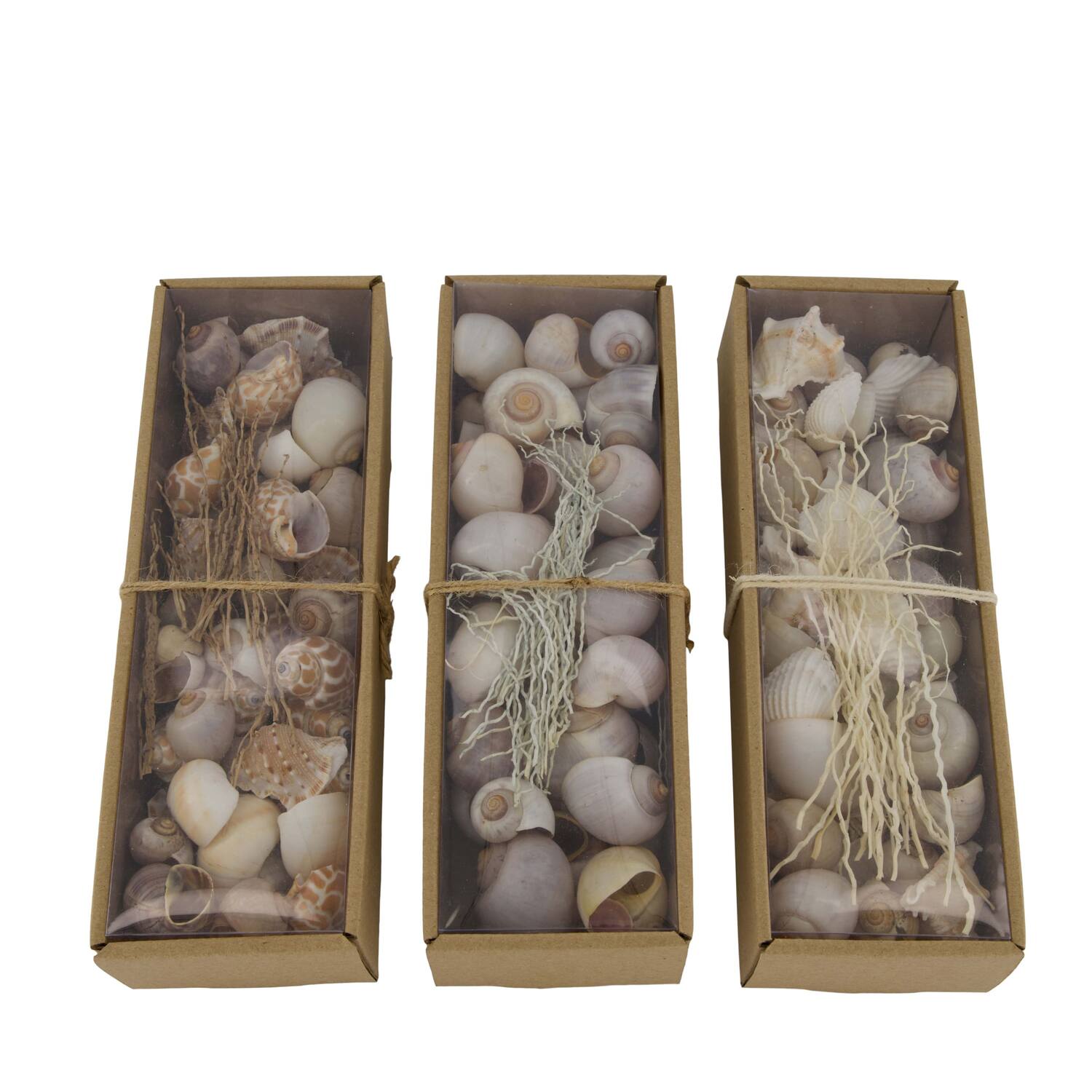 Shell mix nature 27x9x6cm  - Natural