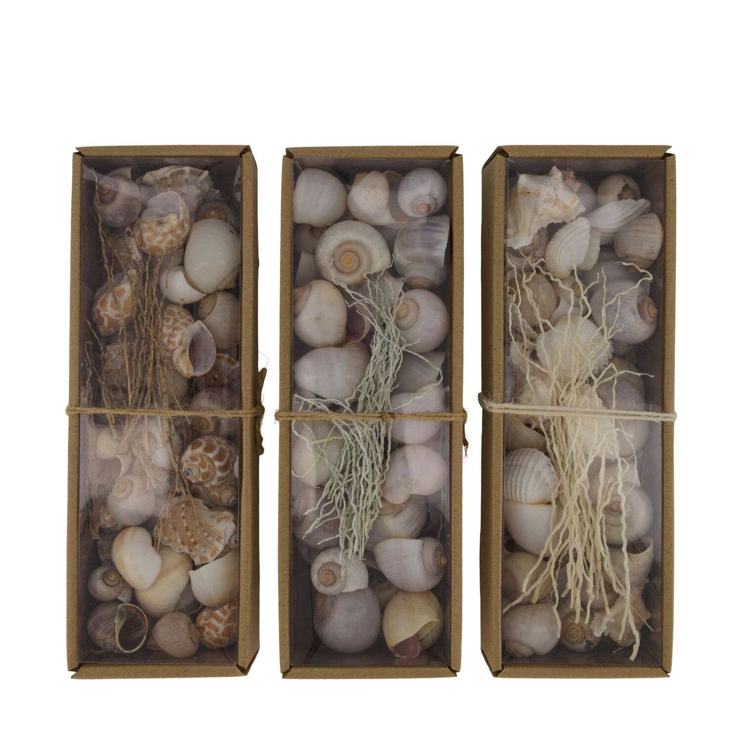 Shell mix nature 27x9x6cm  - Natural