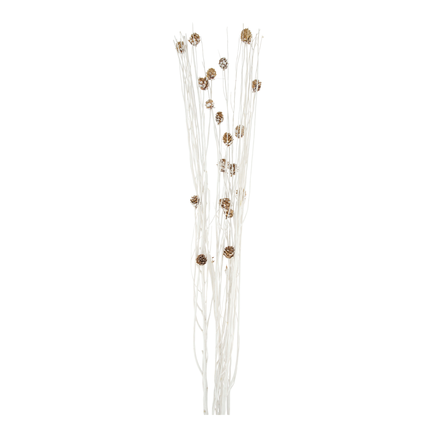 Branch mix nature 17x5x100cm A/4