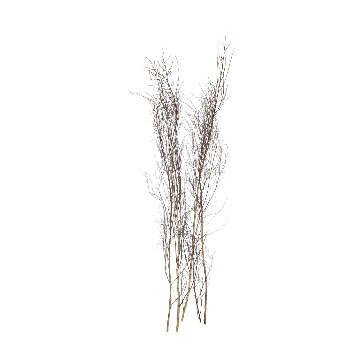 Stem round with twigs birch 200x2x2cm 5pc