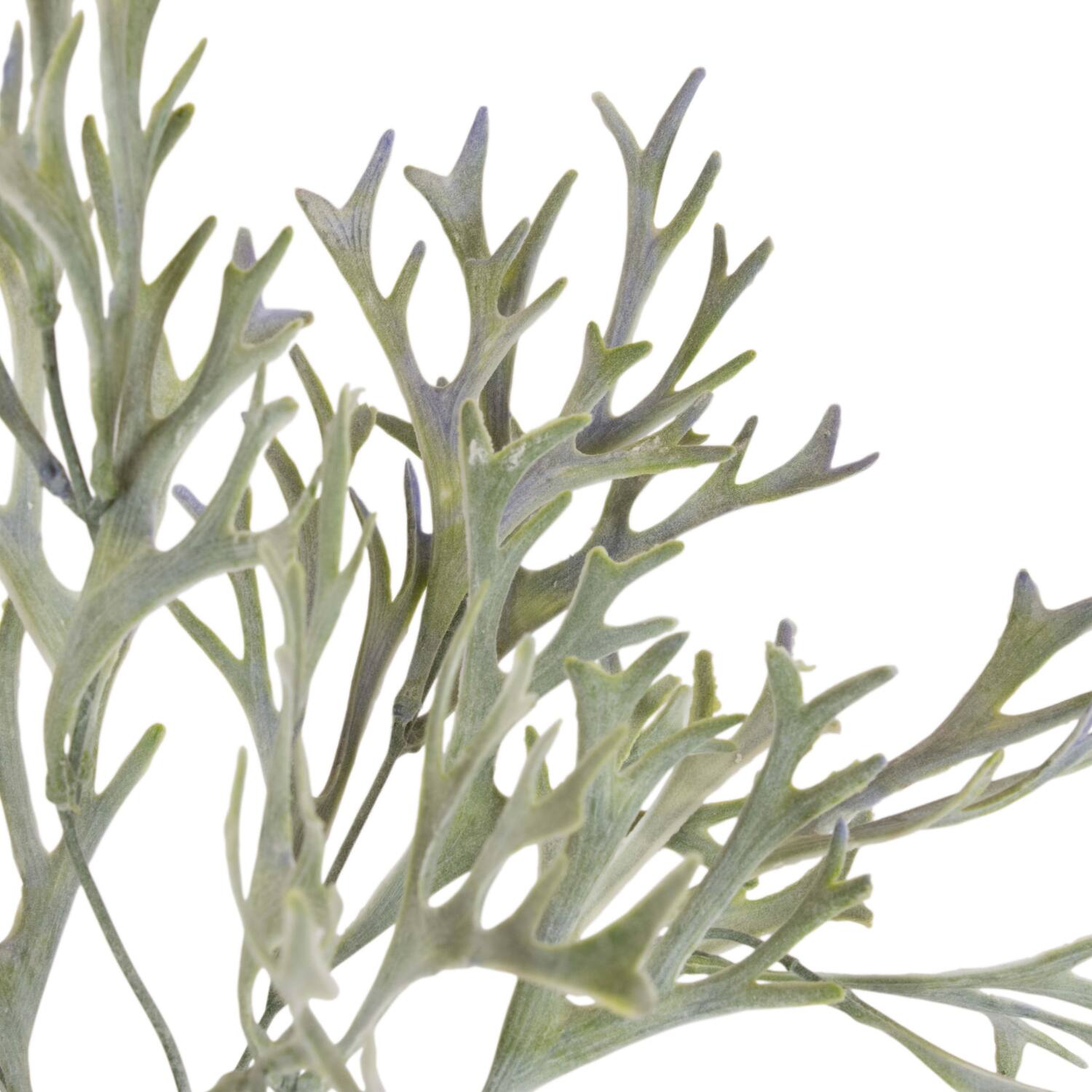 Branch platycerium artificial 38x20x10cm - Green