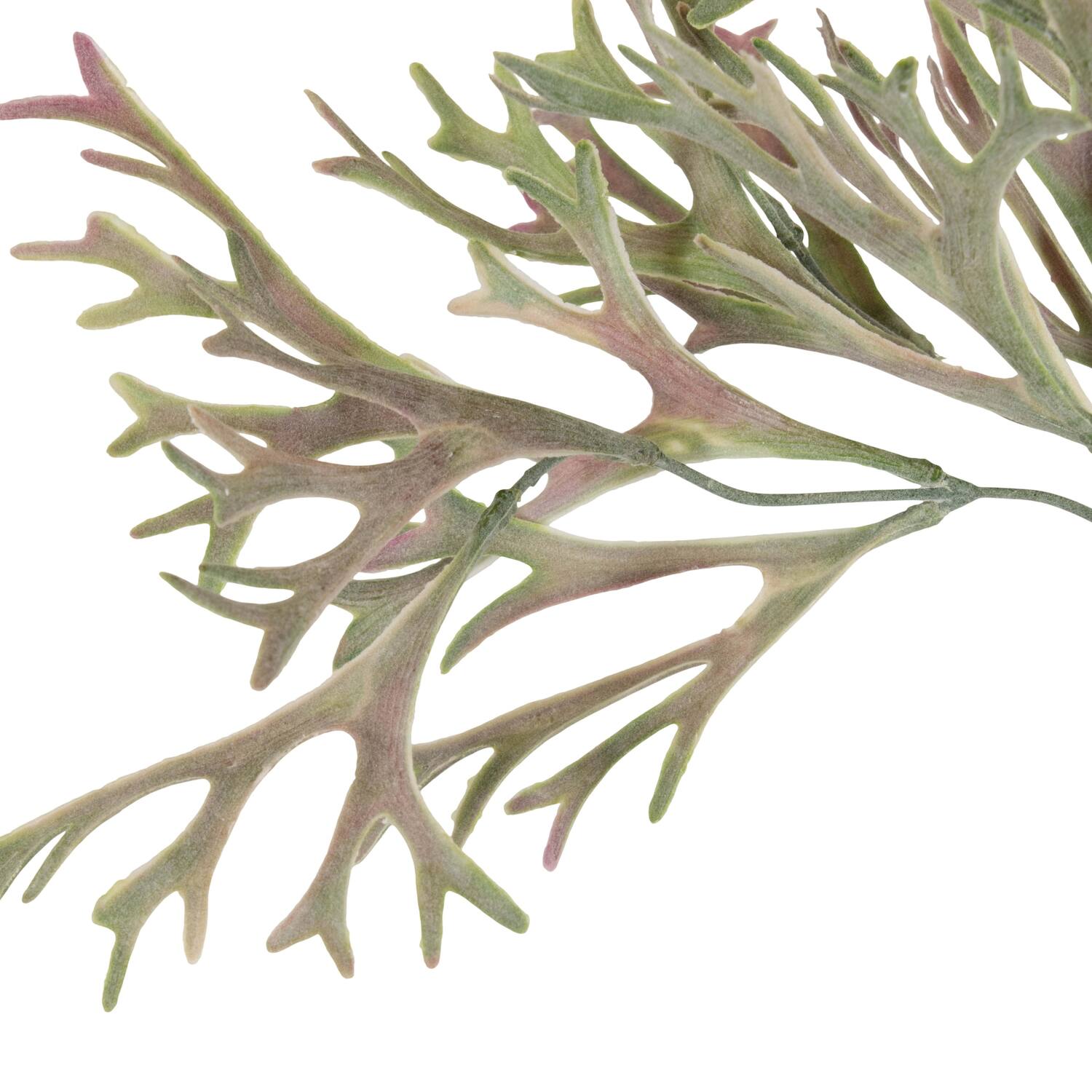 Branch platycerium artificial 38x20x10cm - Purple