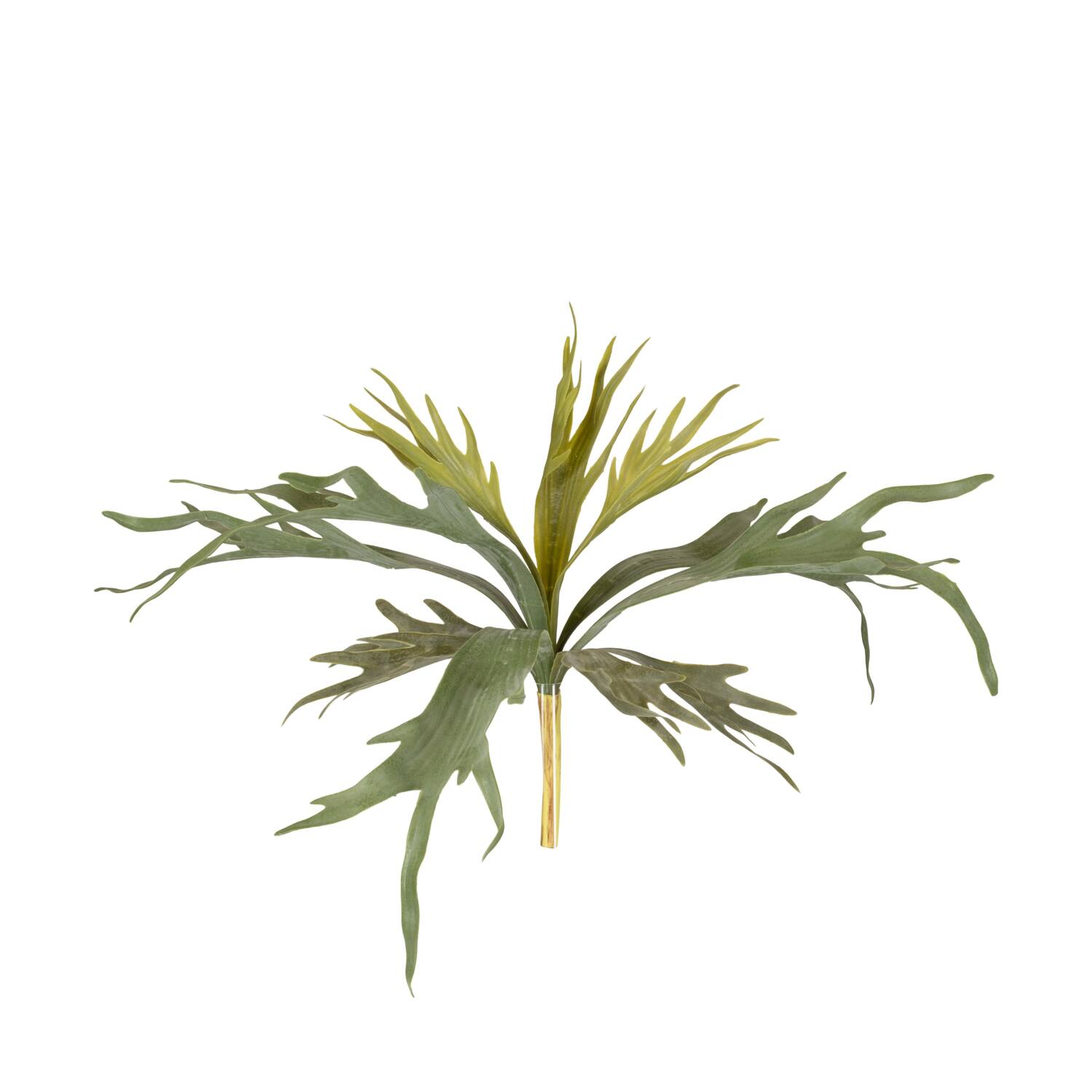 Branch platycerium artificial 50x30x10cm - Green