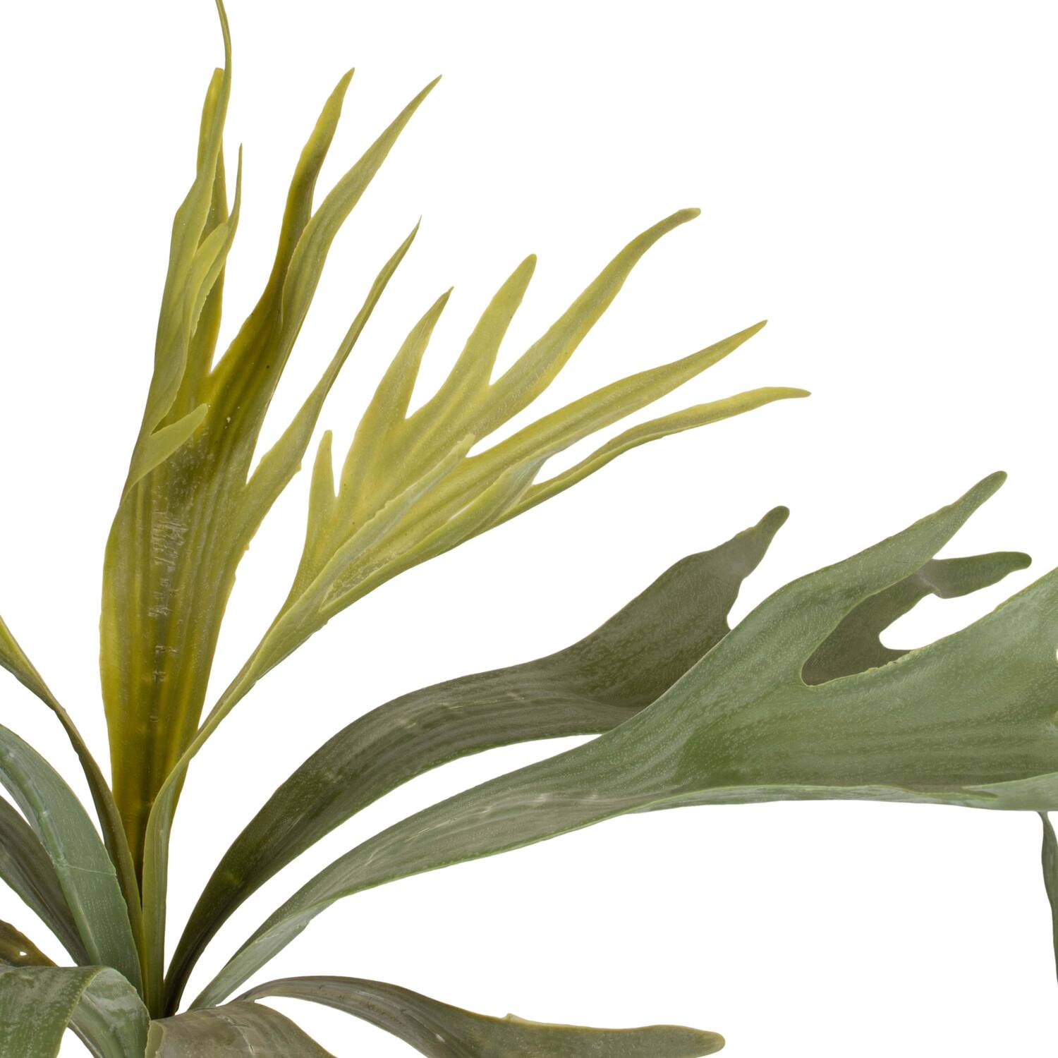 Branch platycerium artificial 50x30x10cm - Green