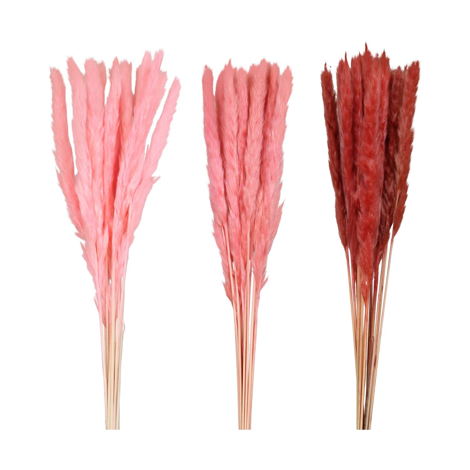 Pampas grass 70x11x4cm C3 - Pink