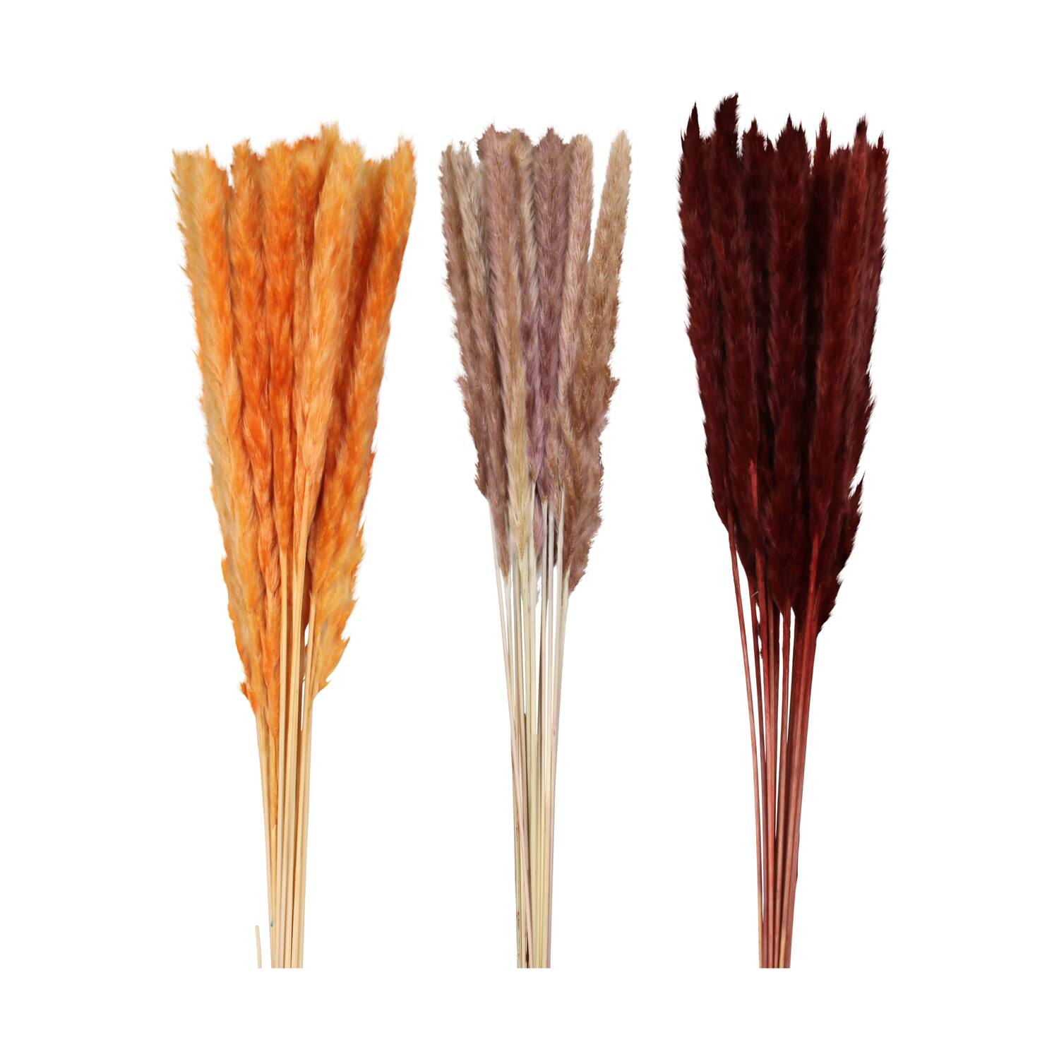 Pampas grass 70x11x4cm C3 - Orange