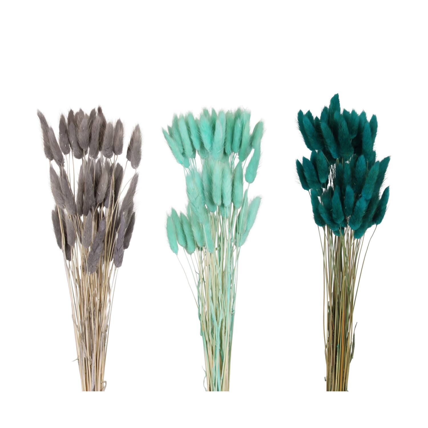Lagurus nature 60x10x5cm 60pc C3 - Blue