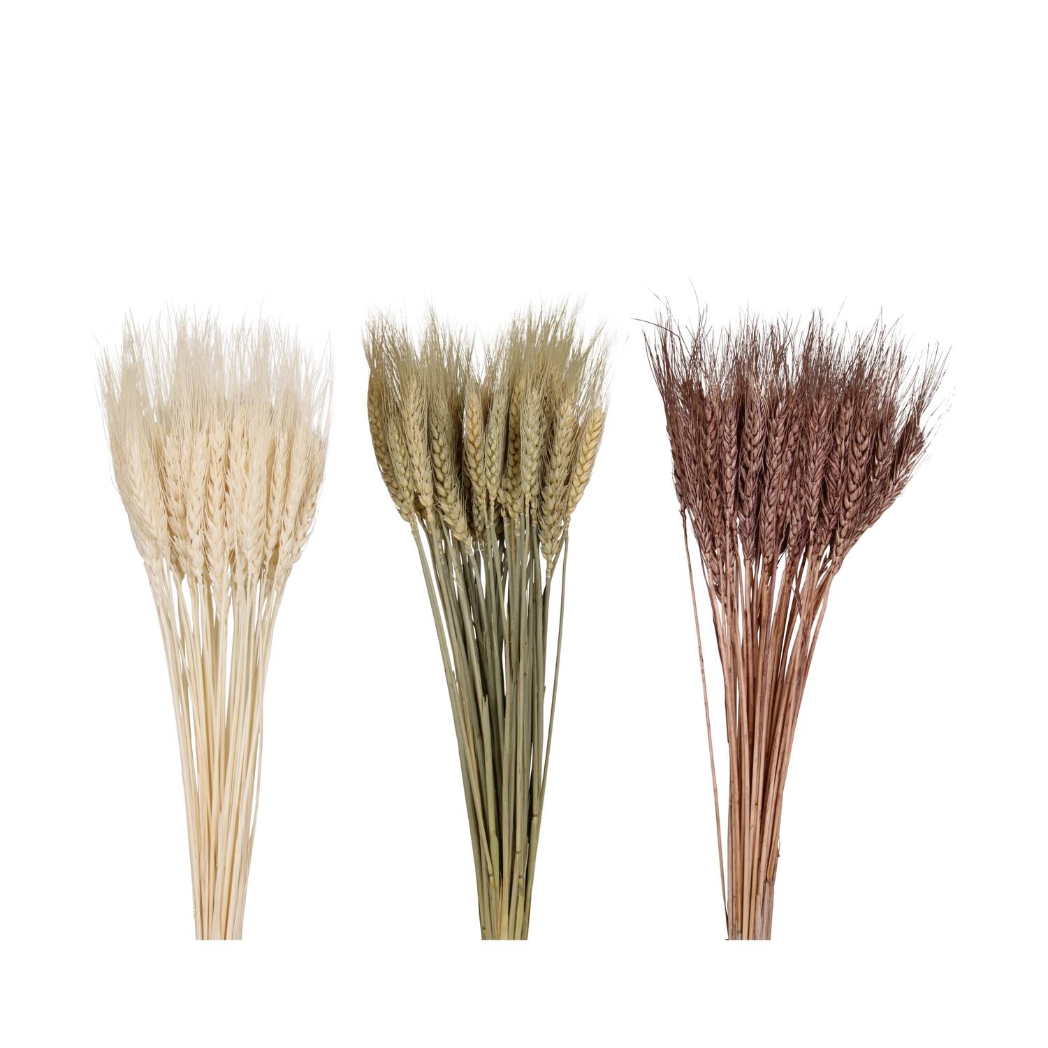 Wheat grass 60x12x6cm 50pc C3 - Natural
