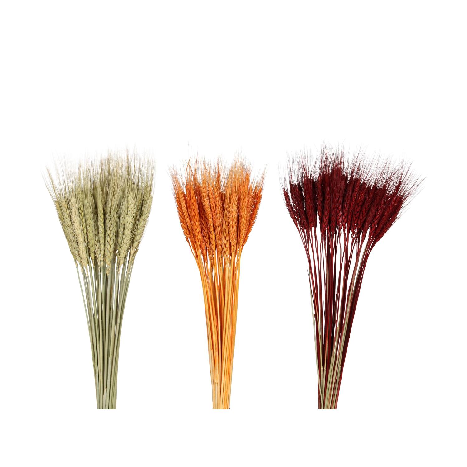 Wheat grass 60x12x6cm 50pc C/3