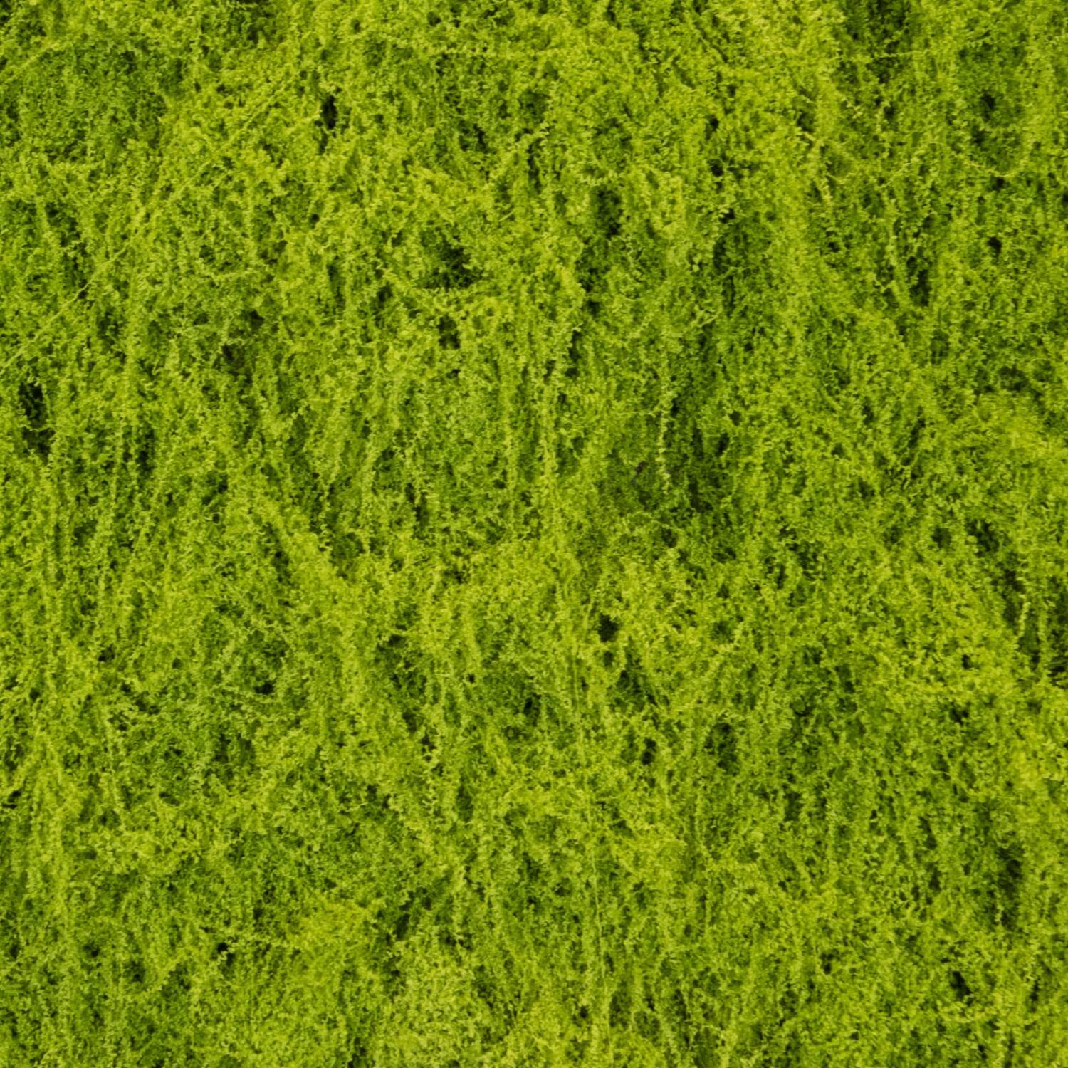 Moss artificial 200x100x4cm - Green