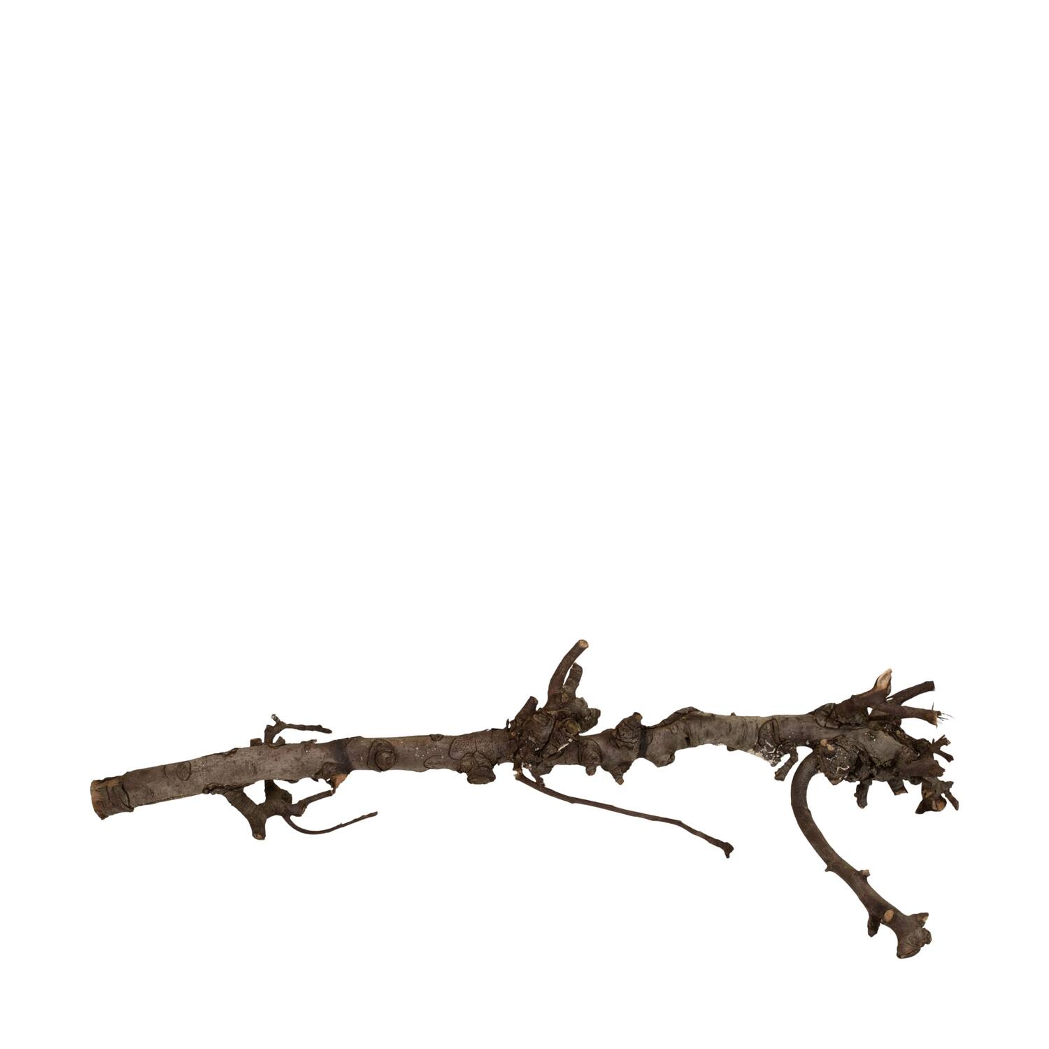 Branch pear 80cm - Natural