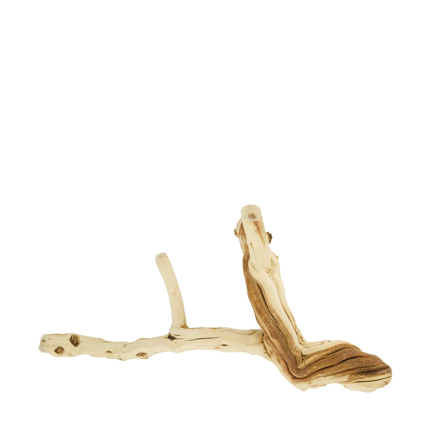 Branch honeysuckle wood 30x17.5x30cm