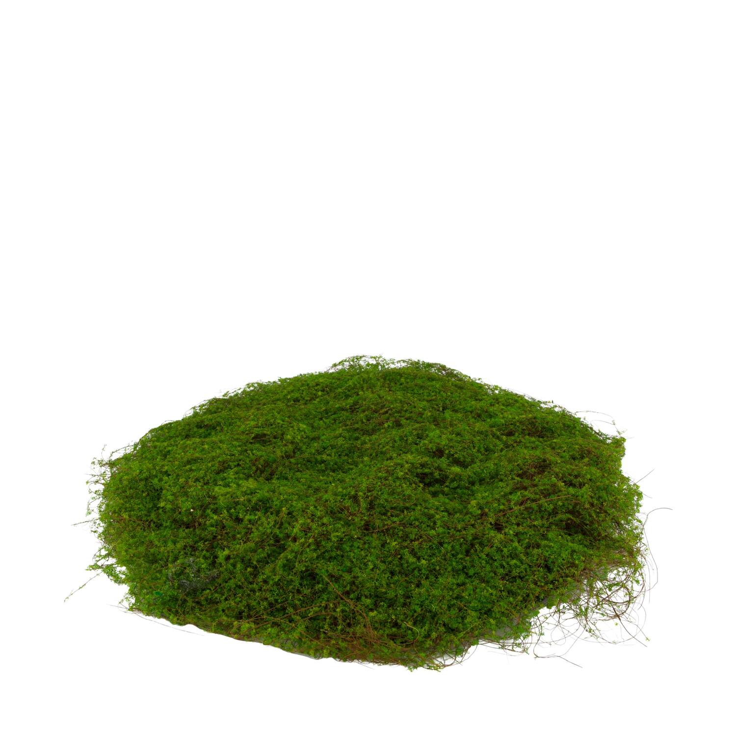 Moss sheet PU 45x45x4cm - Green