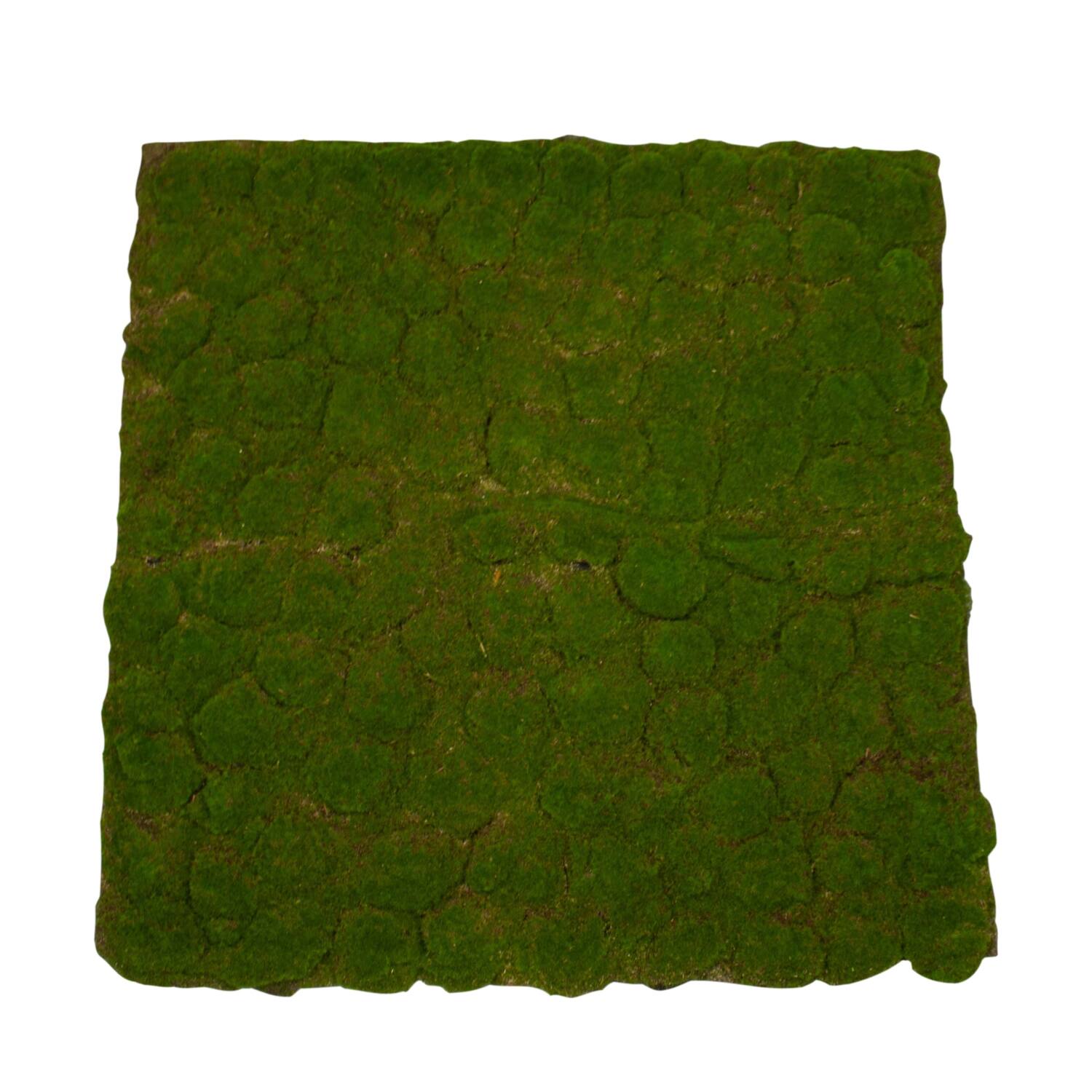 Moss sheet with adhesive edge PU 100x100x4cm