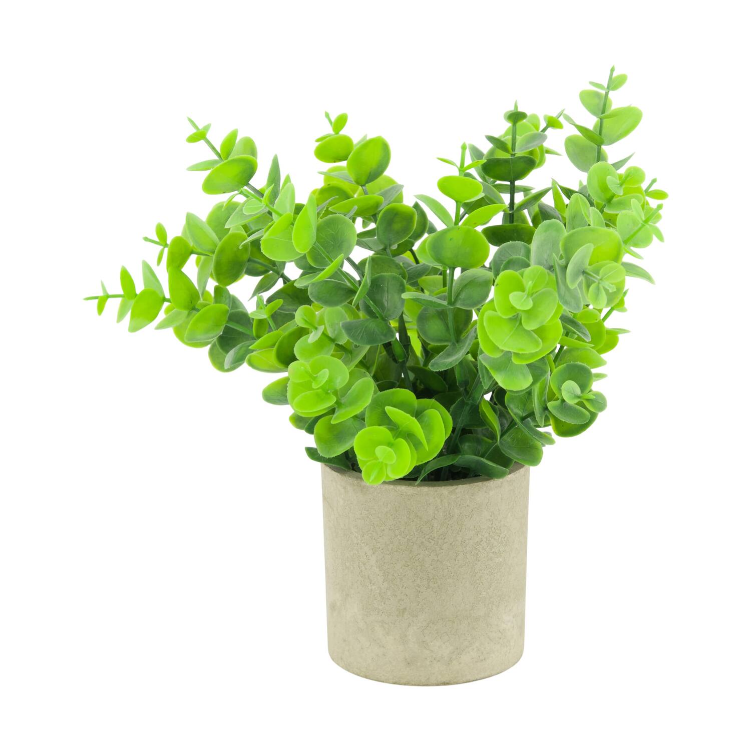 Plant in pot eucalyptus PE 8x8x23cm