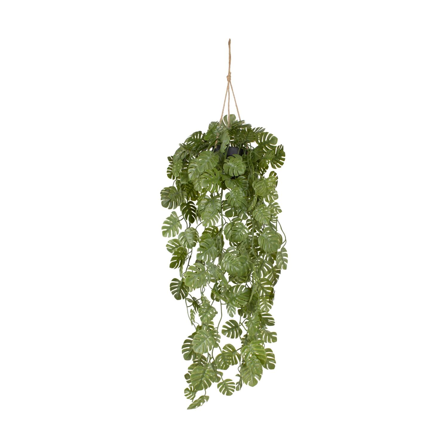 Plant monstera PE with hanger 18x18x80cm - Green