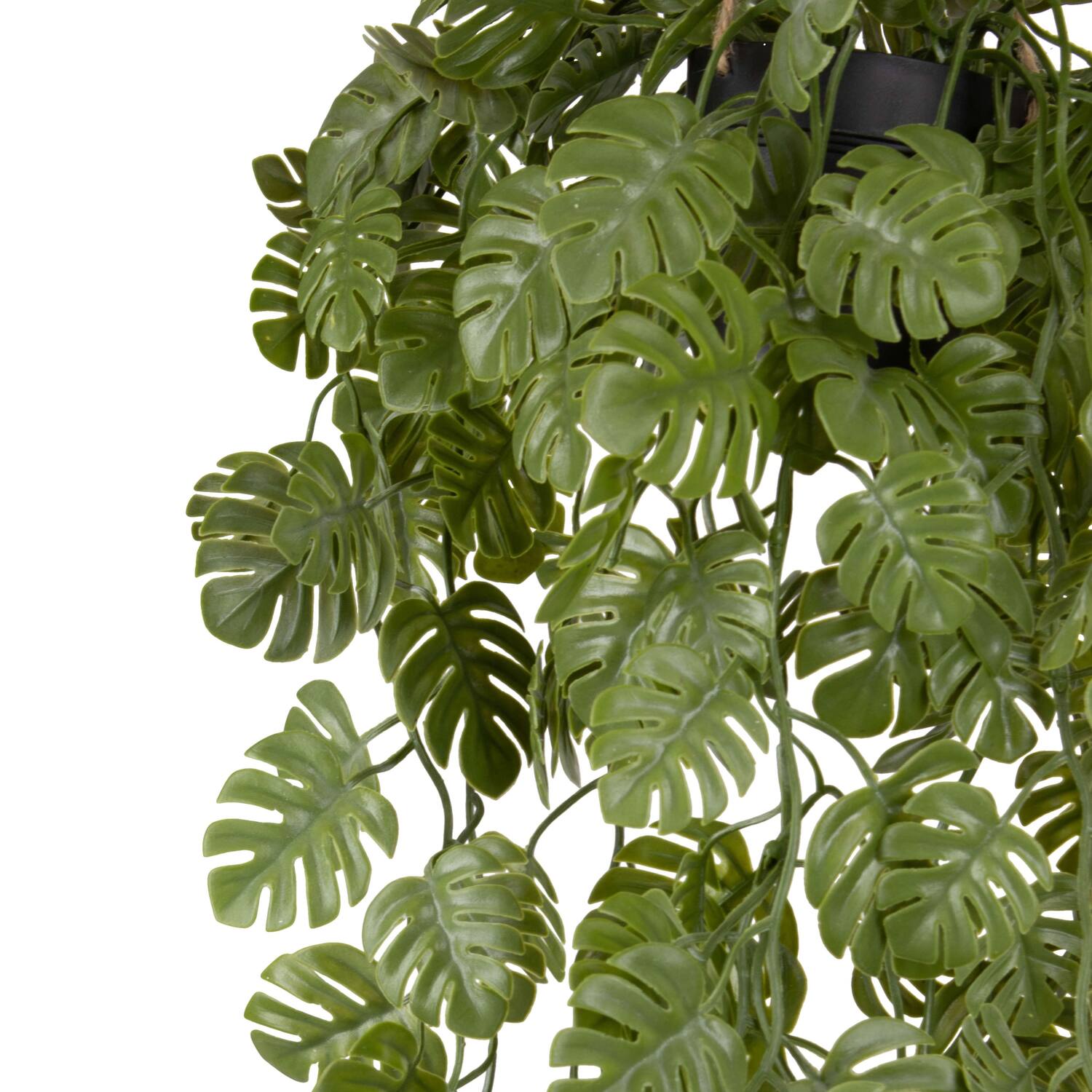 Plant monstera PE with hanger 18x18x80cm - Green