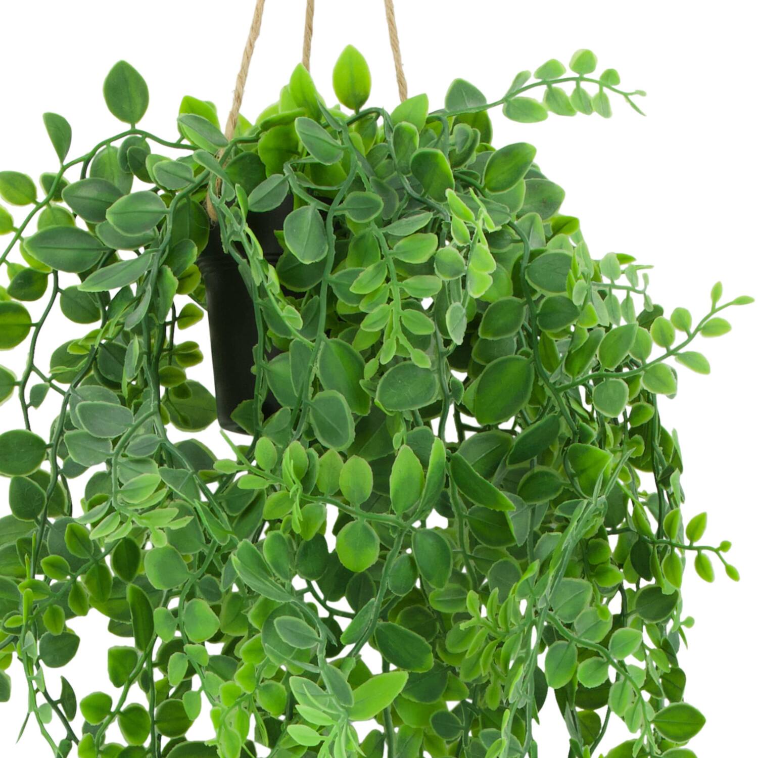 Plant dischidia PE with hanger 18x18x80cm - Green