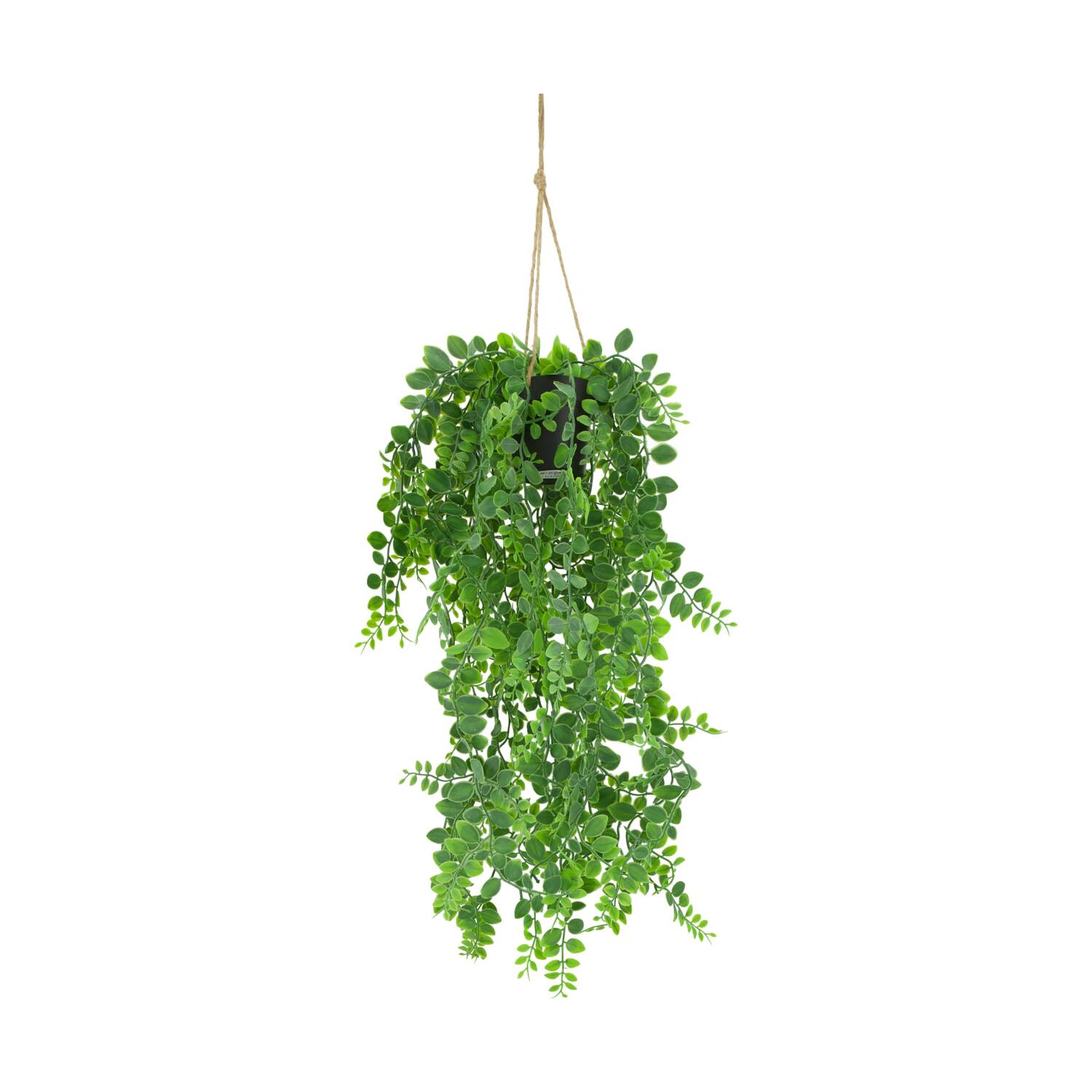 Plant dischidia PE with hanger 18x18x80cm - Green