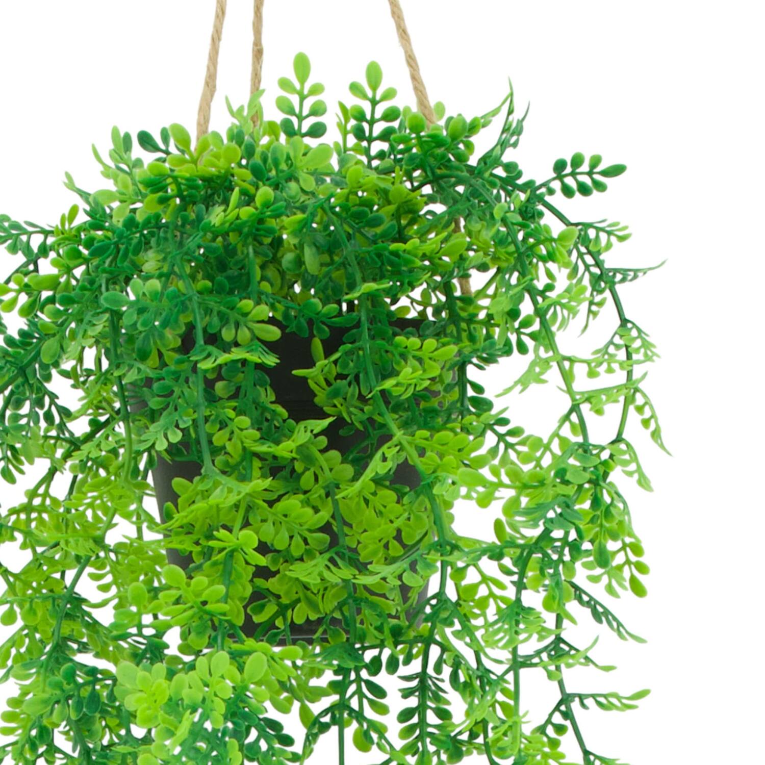 Plant dracaena PE with hanger 15x15x70cm - Green