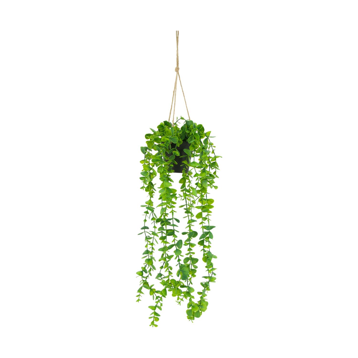 Plant eucalyptus PE with hanger 15x15x70cm - Green