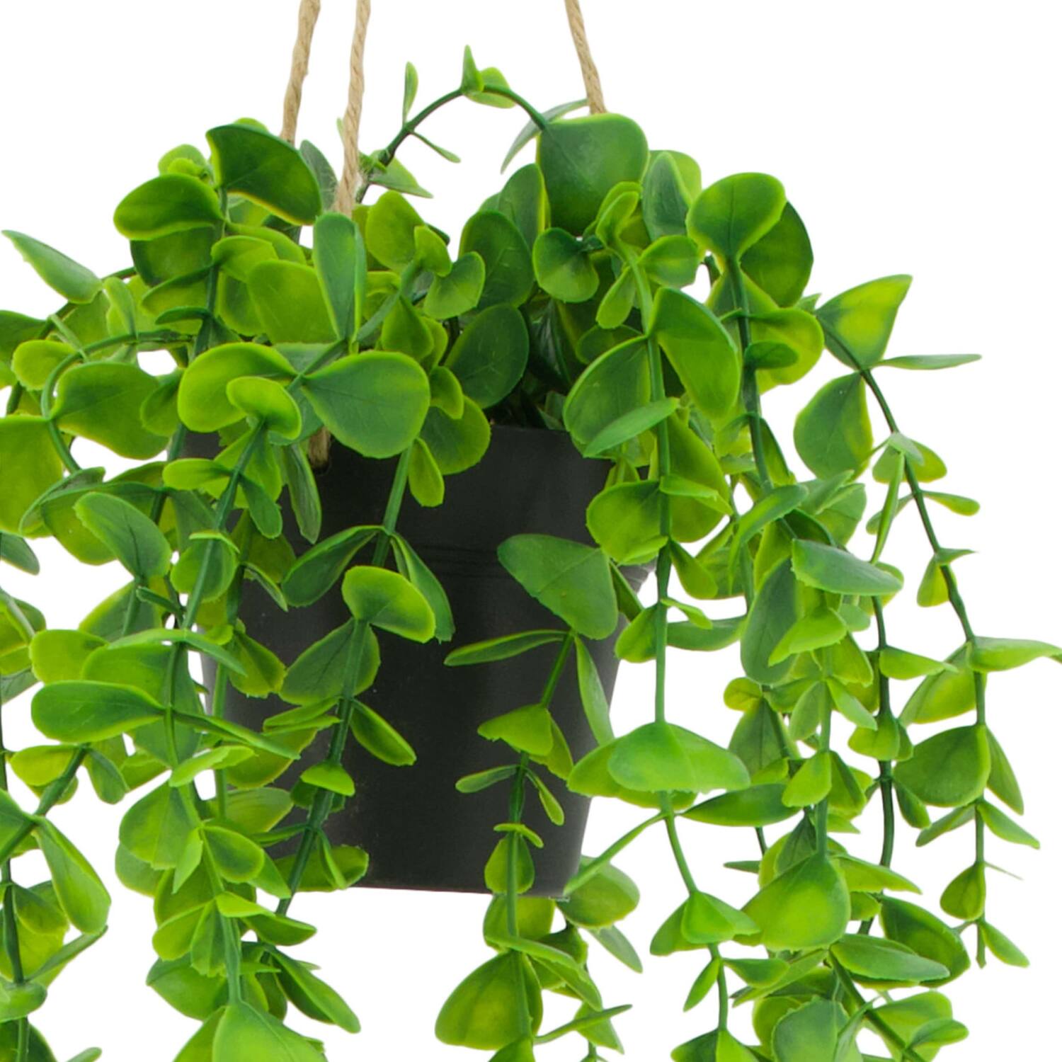 Plant eucalyptus PE with hanger 15x15x70cm - Green