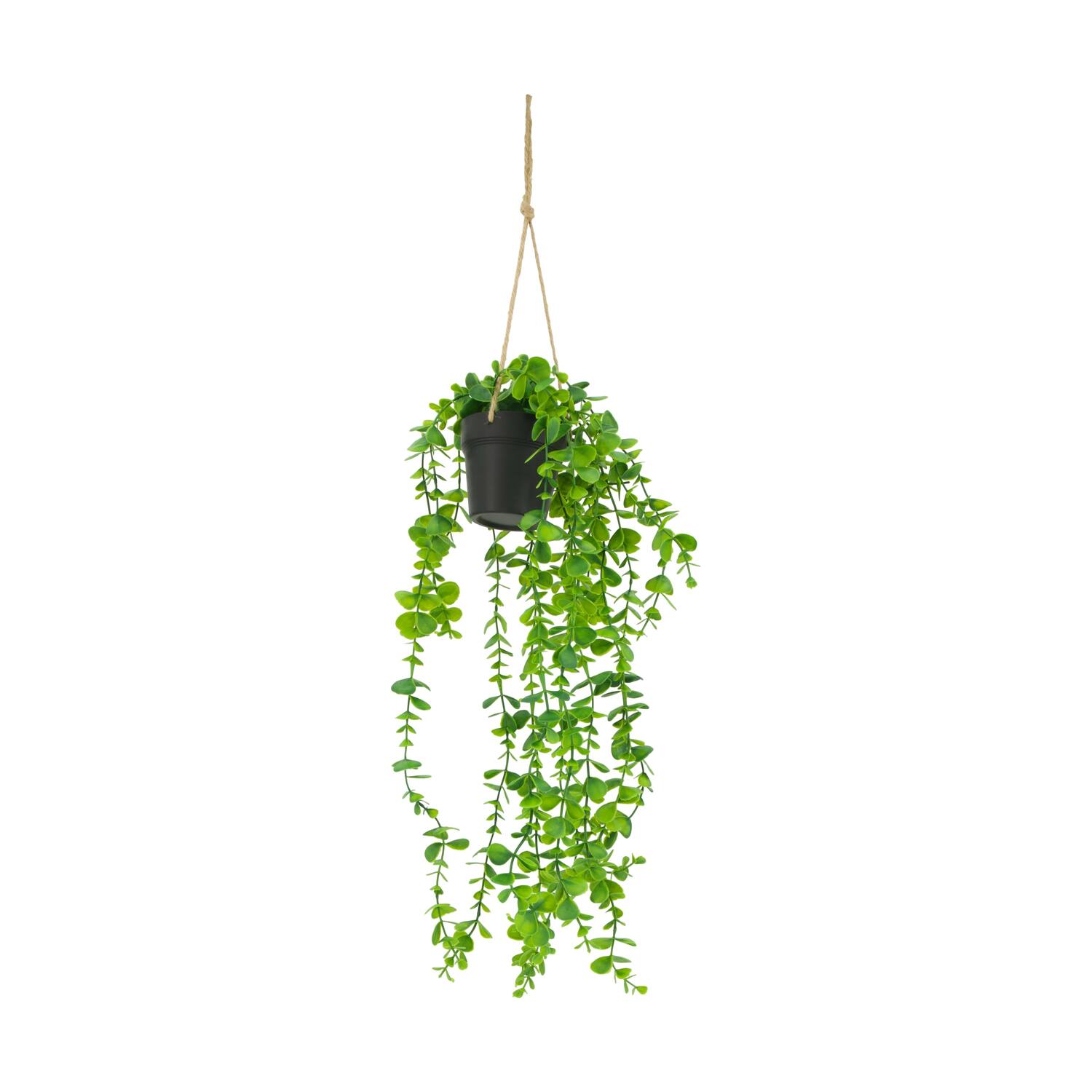 Plant eucalyptus PE with hanger 15x15x70cm - Green