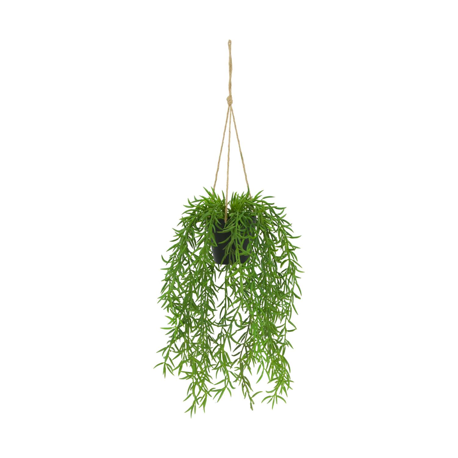Plant senecio PE with hanger 15x15x60cm
