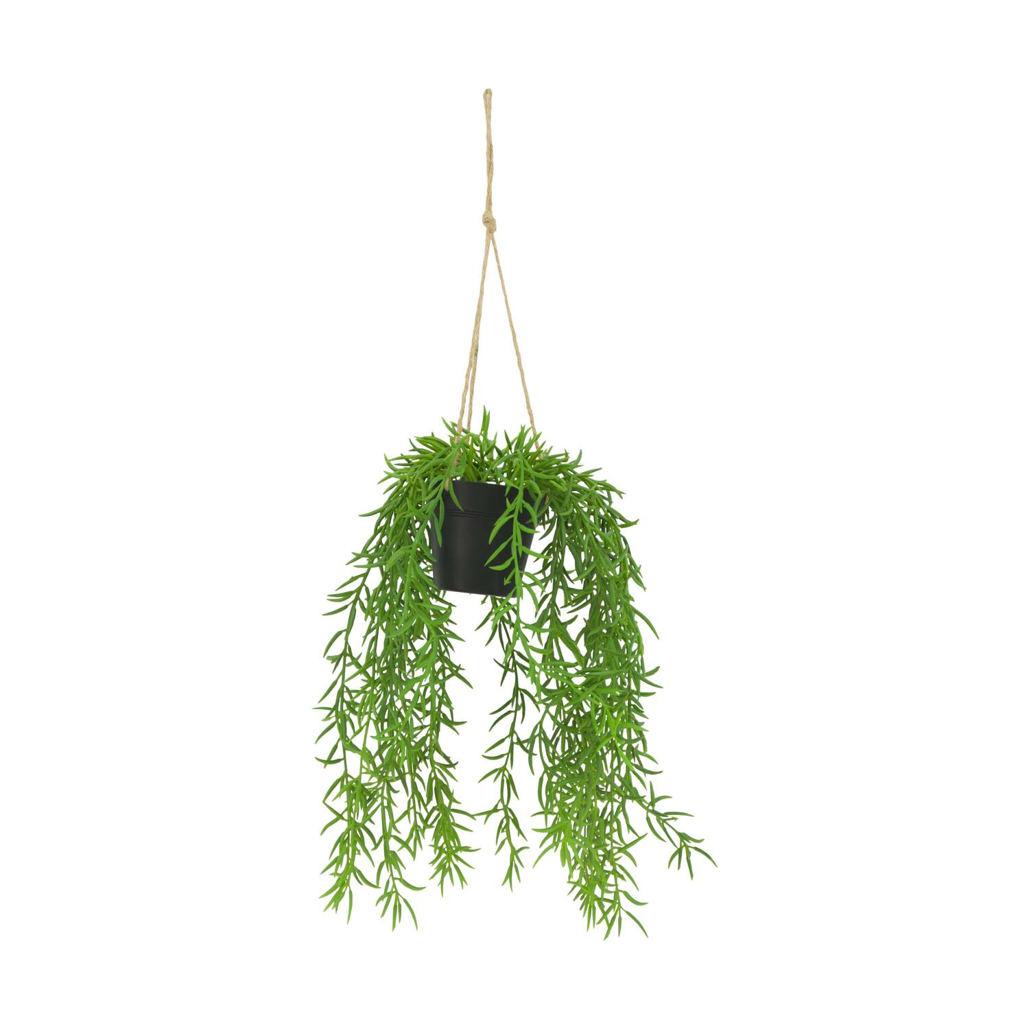 Plant senecio PE with hanger 15x15x60cm