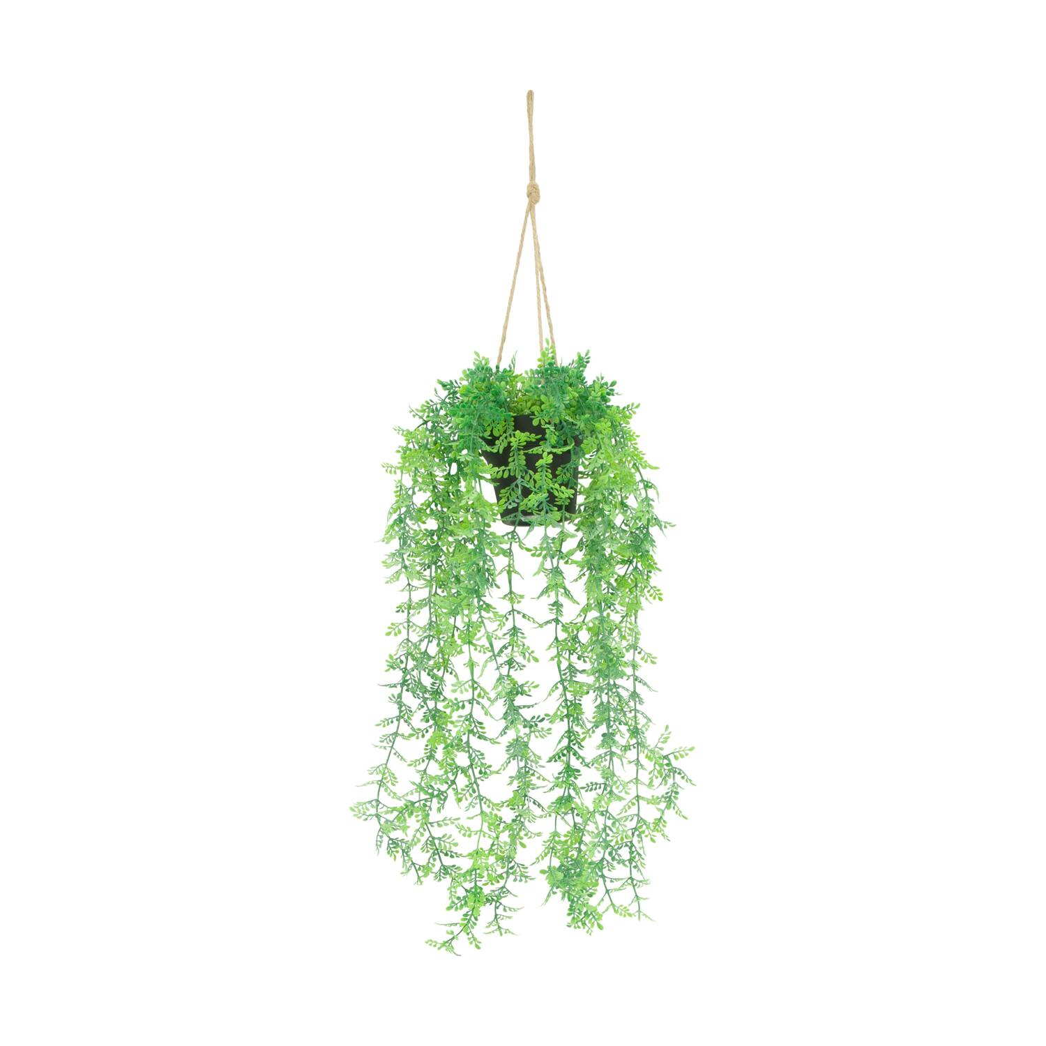 Plant adiantum PE with hanger 16x16x72cm