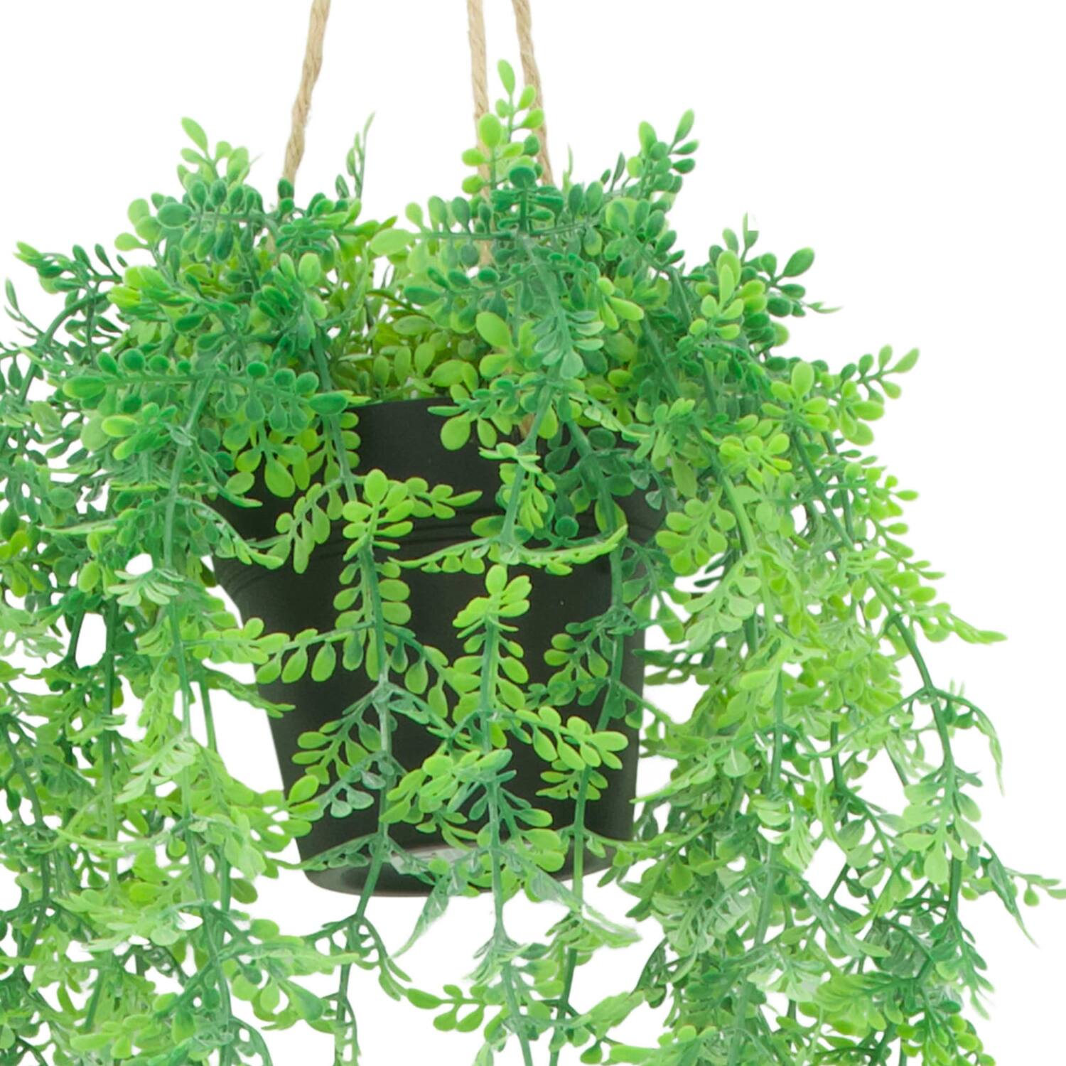Plant adiantum PE with hanger 16x16x72cm
