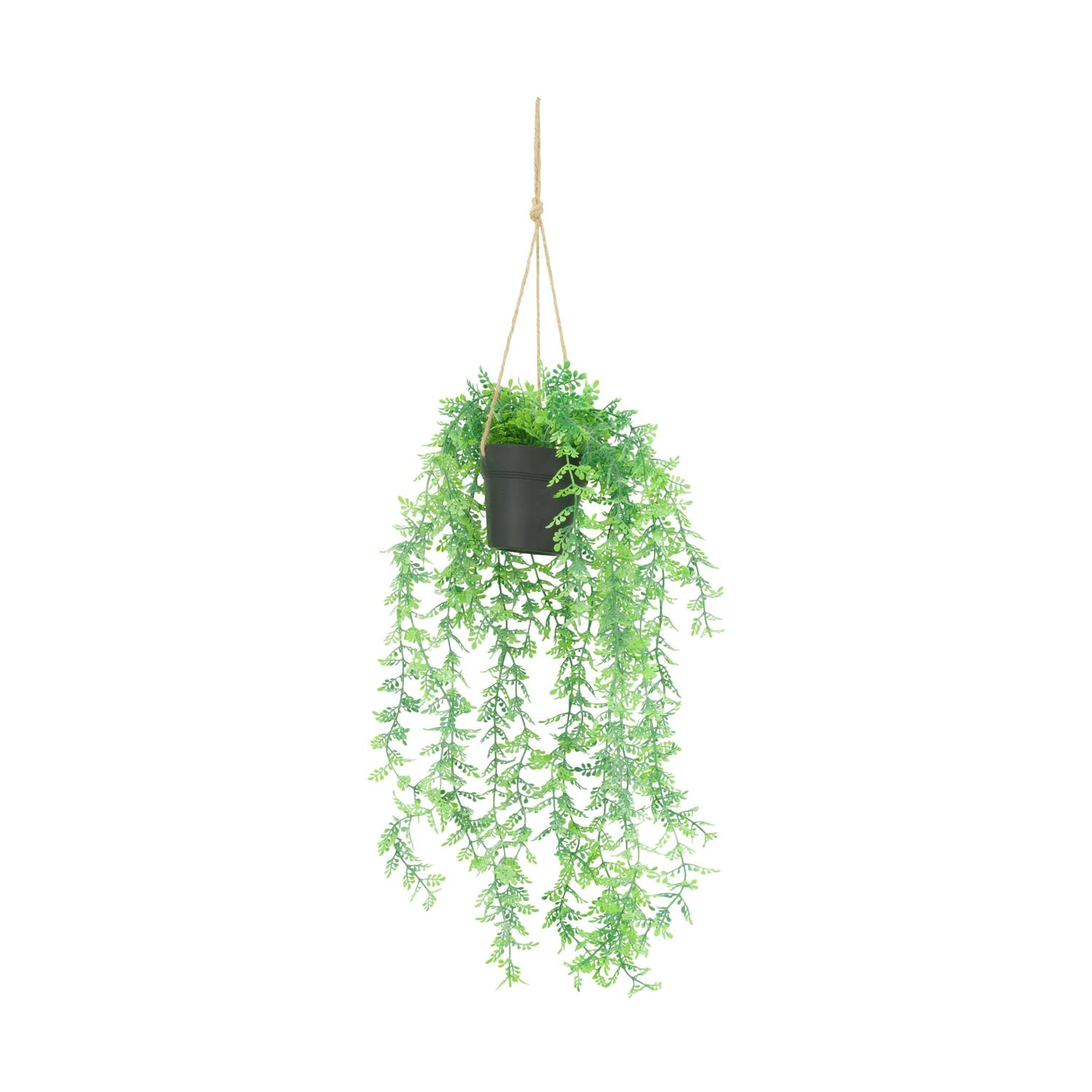 Plant adiantum PE with hanger 16x16x72cm