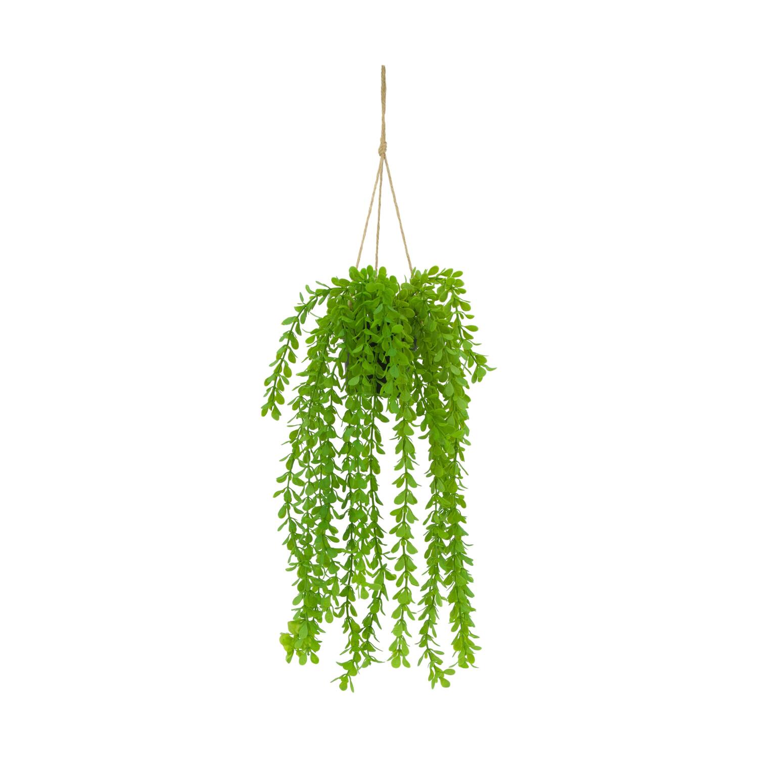 Plant dischidia PE with hanger 16x16x65cm